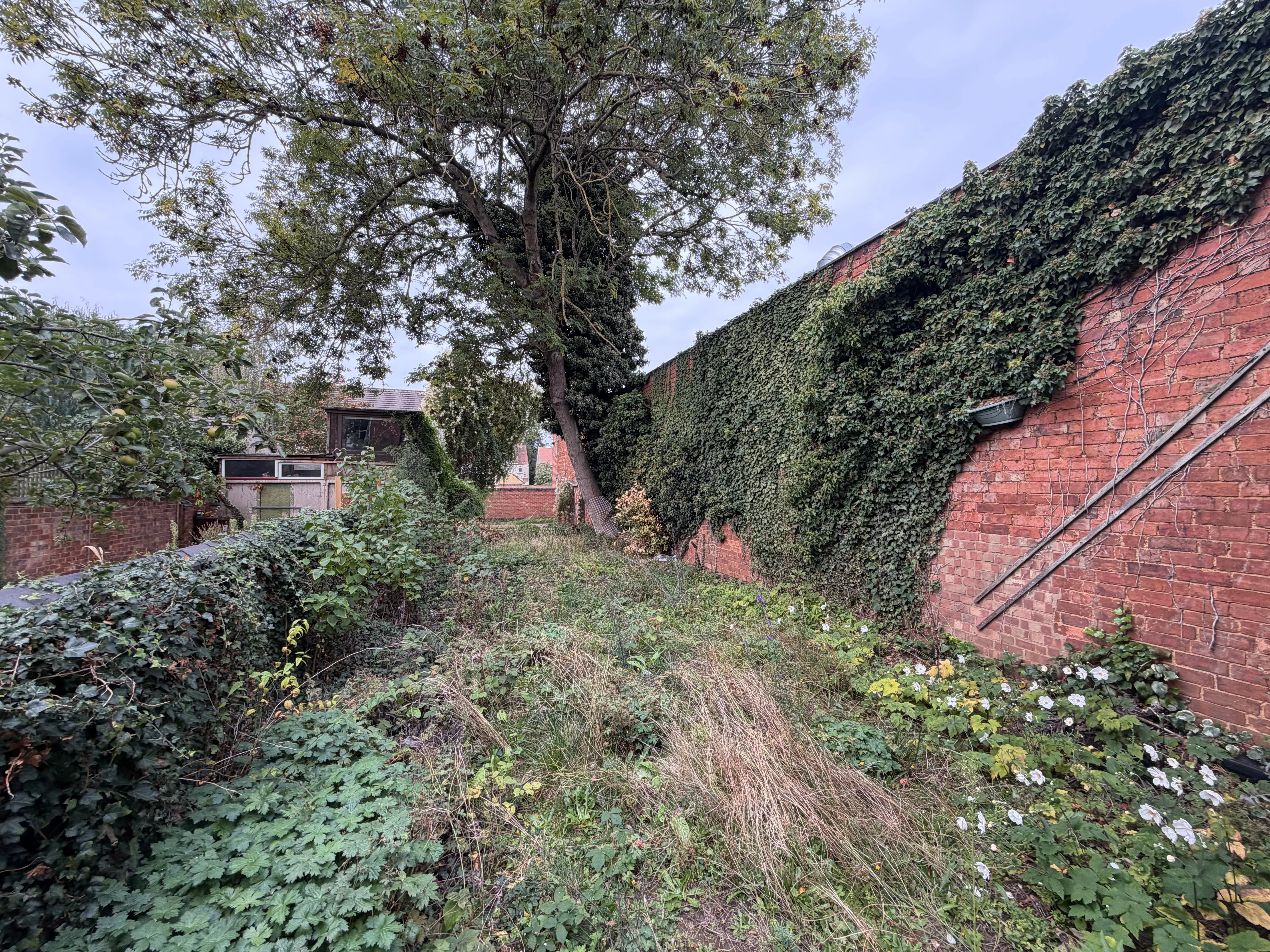 VACANT - Freehold Mid Terrace Building