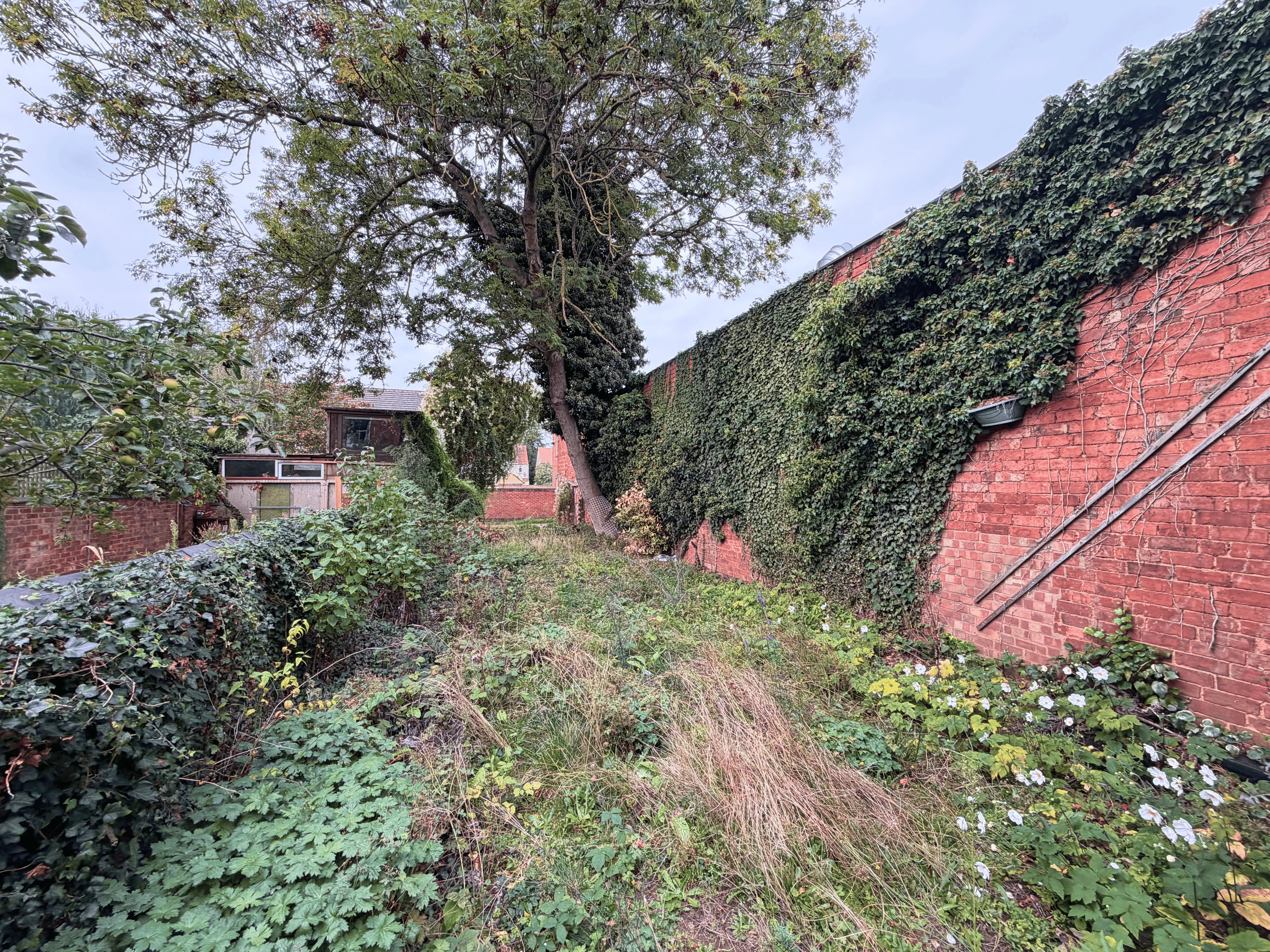 VACANT - Freehold Mid Terrace Building