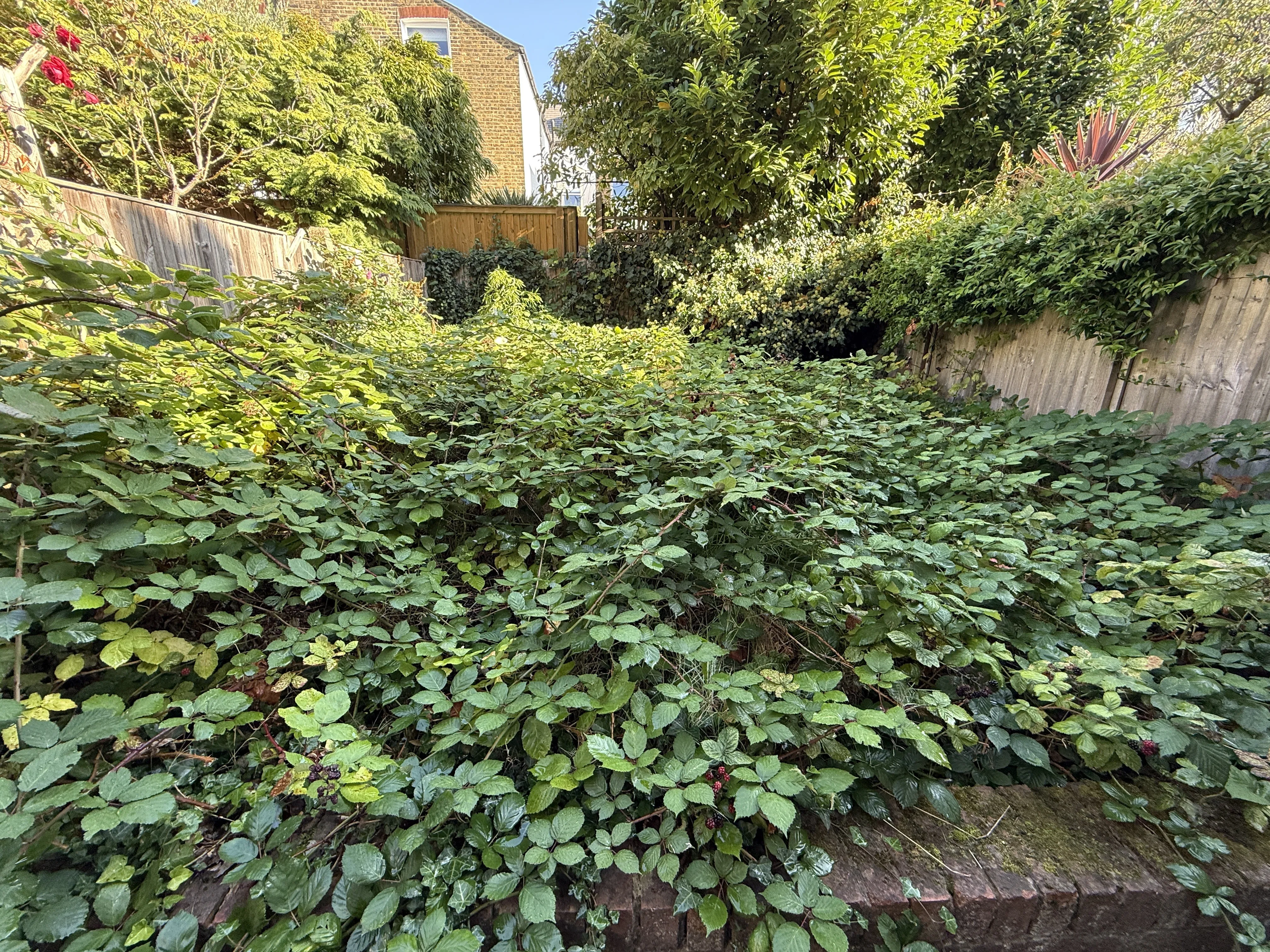 VACANT - Leasehold Self Contained Ground Floor Flat