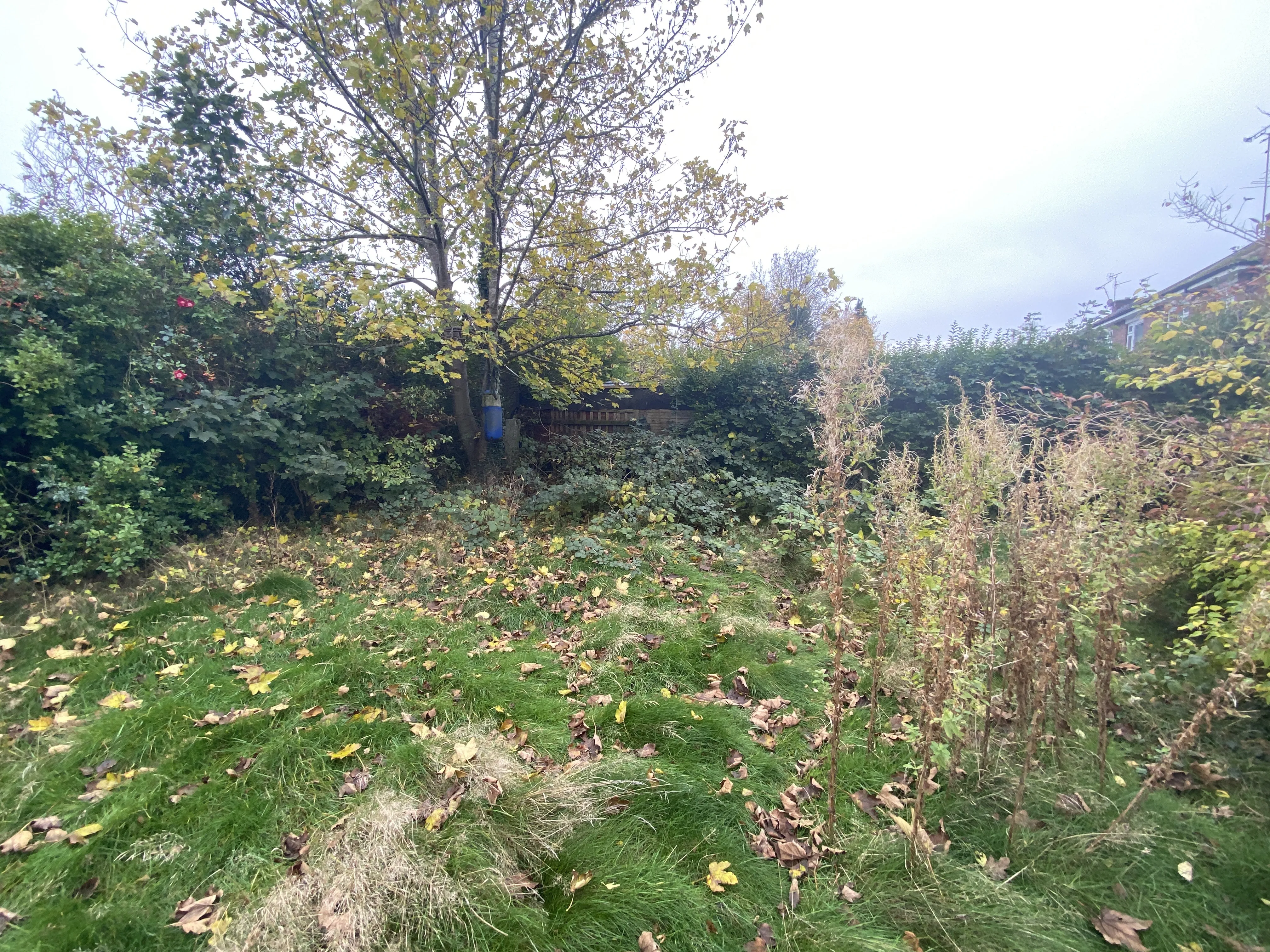 VACANT - Freehold Semi-Detached House