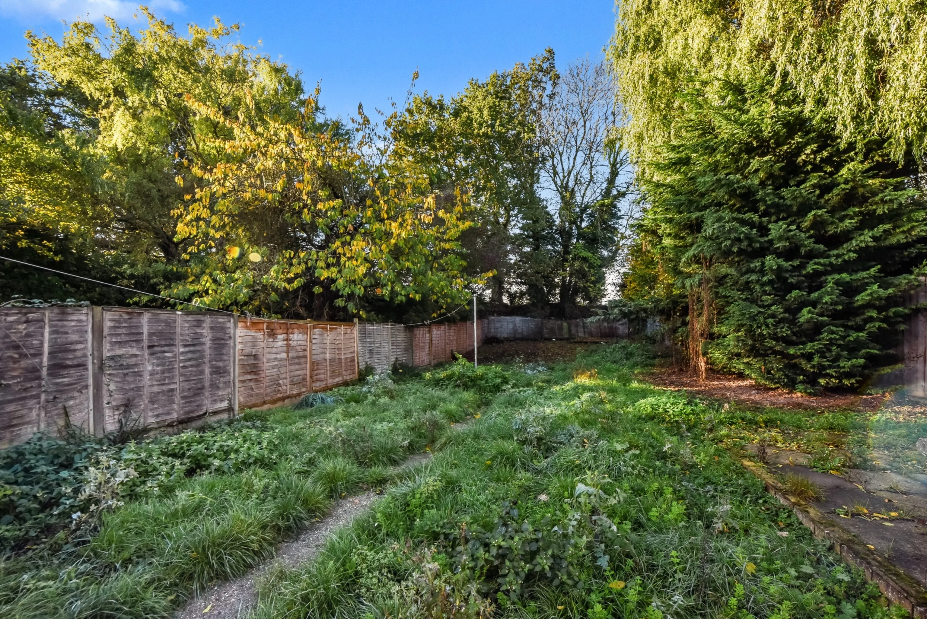 VACANT - Freehold Semi-Detached House