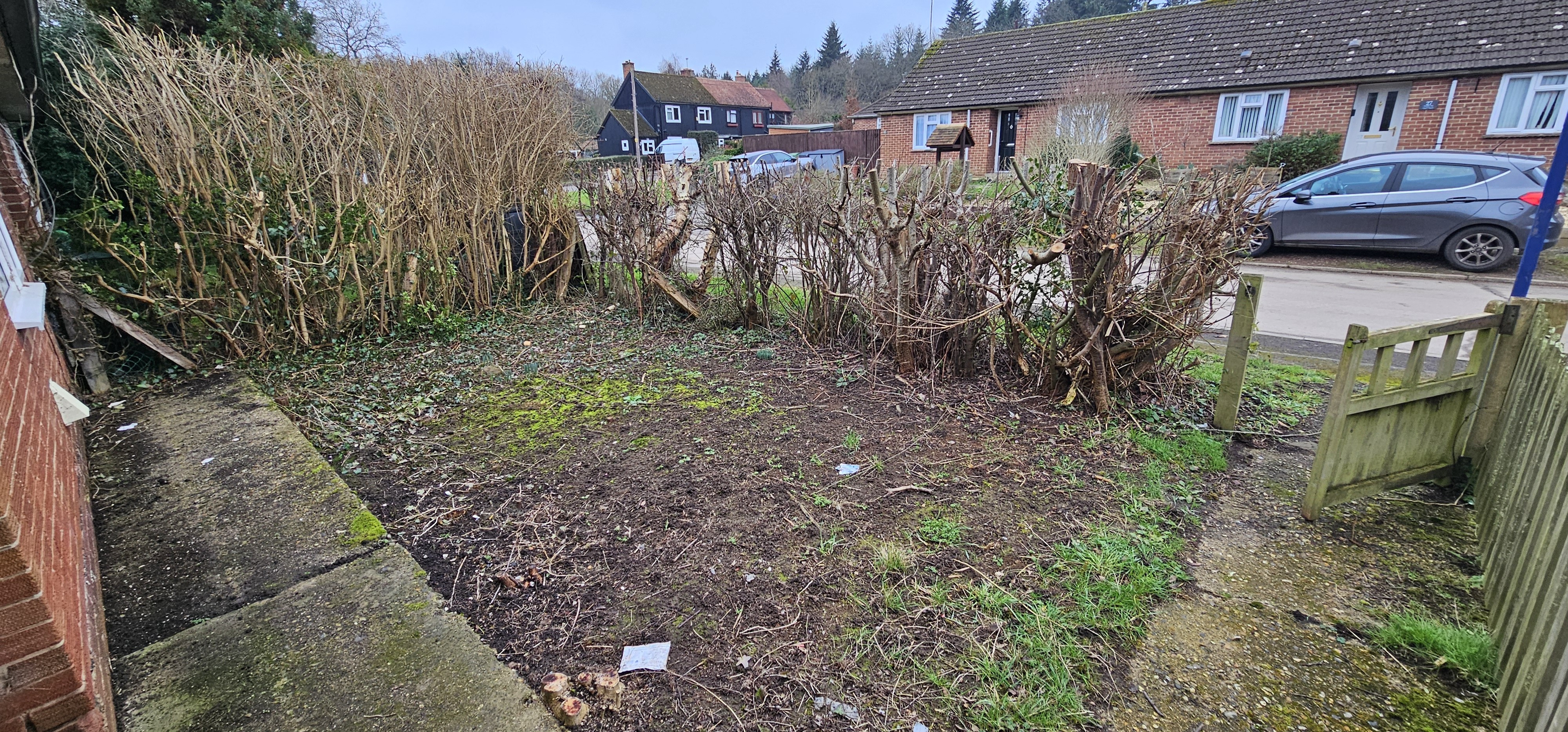 VACANT - Freehold Mid Terrace Bungalow