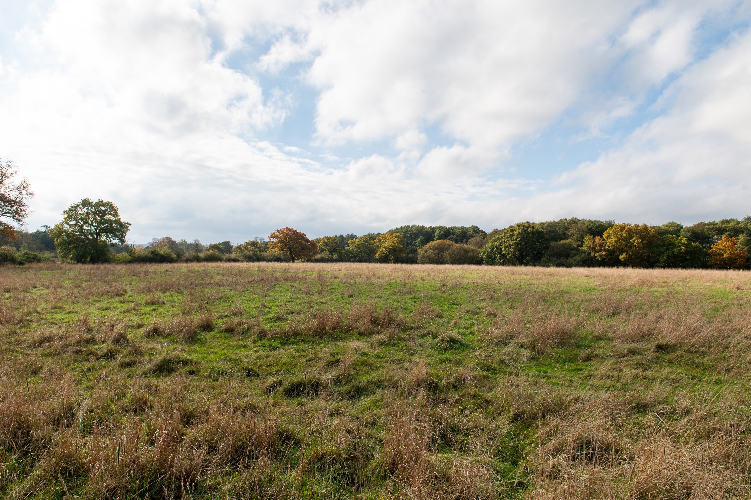 VACANT - Freehold Detached House with Outbuildings 