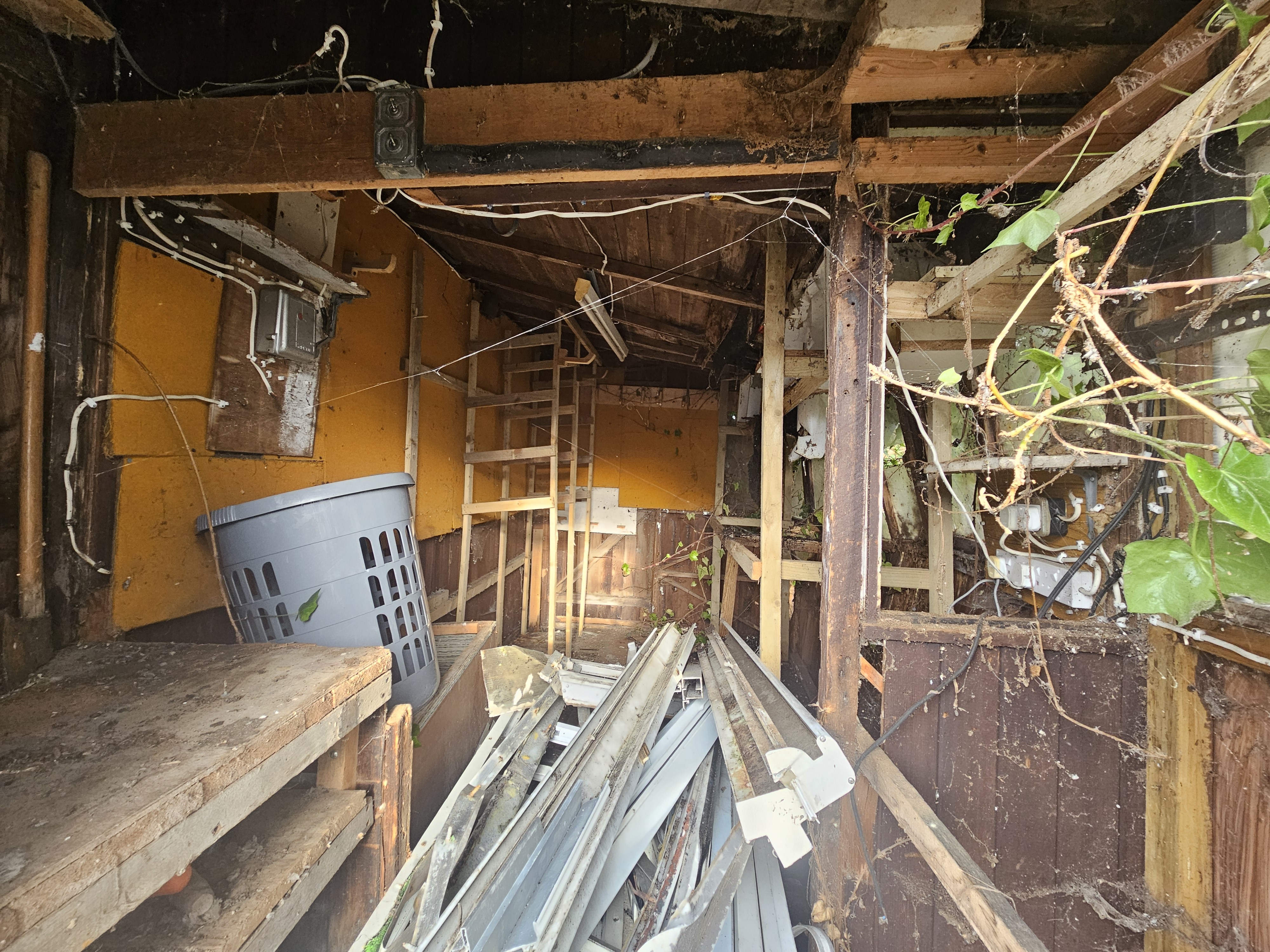 VACANT - Freehold Semi-Detached House