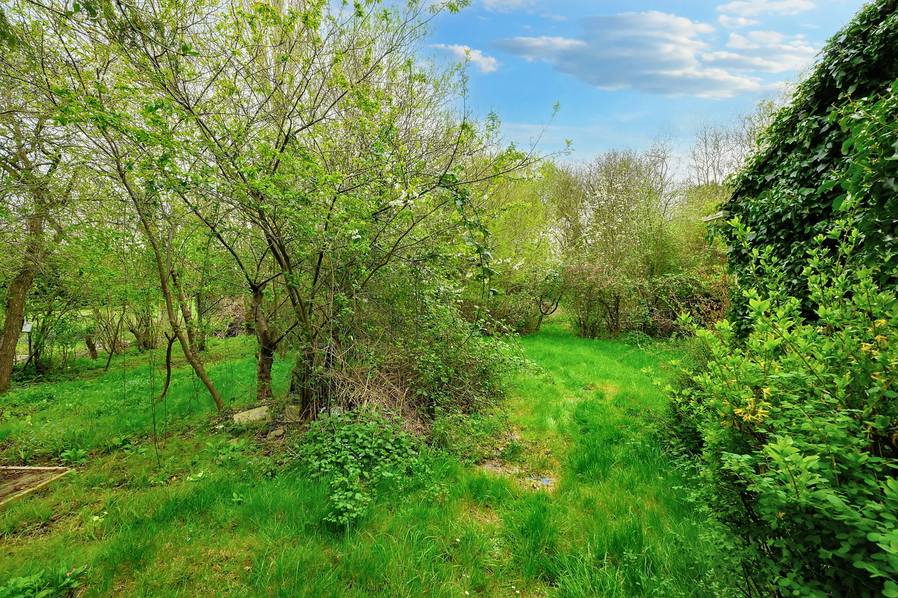 VACANT - Freehold Semi-Detached Bungalow
