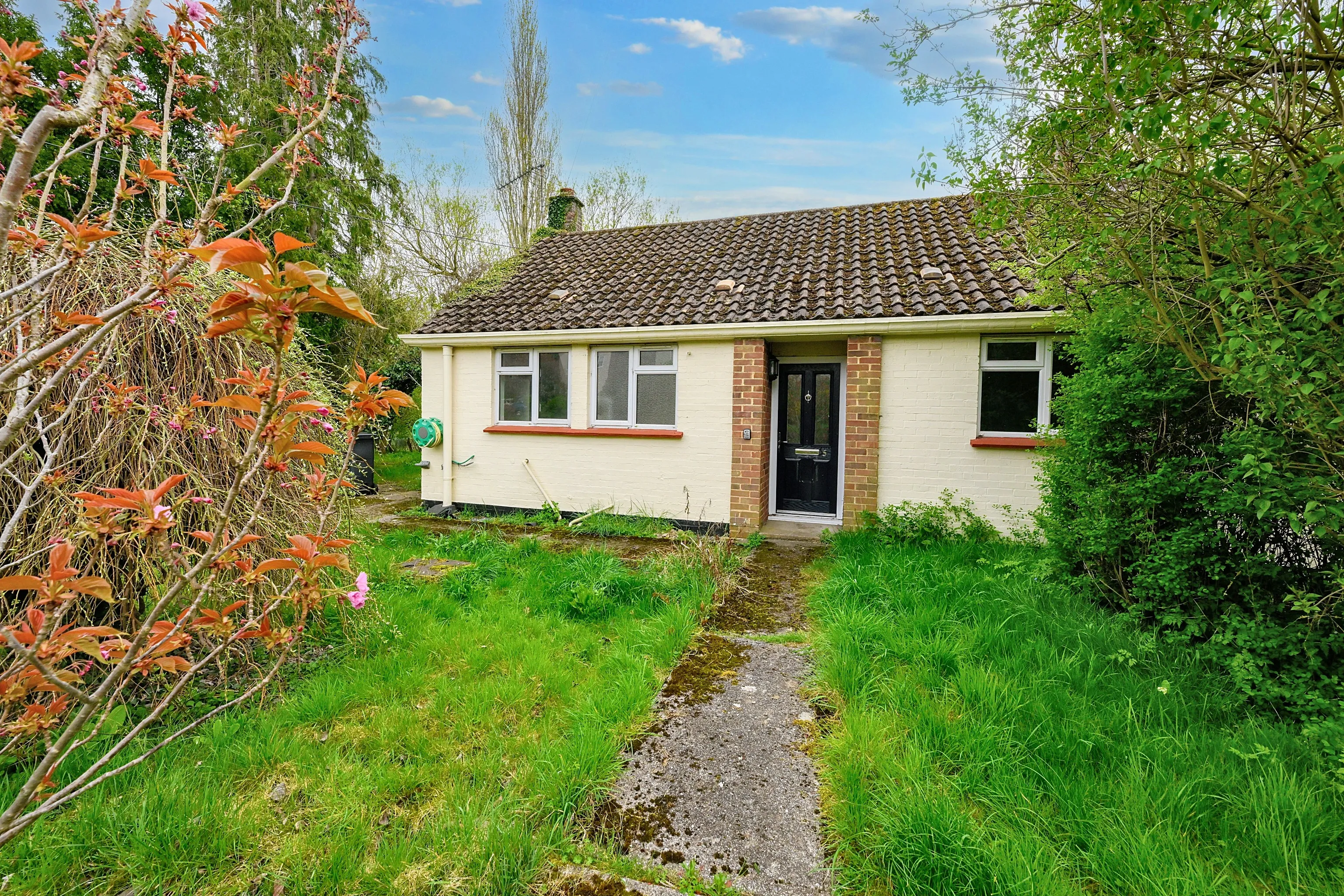 VACANT - Freehold Semi-Detached Bungalow