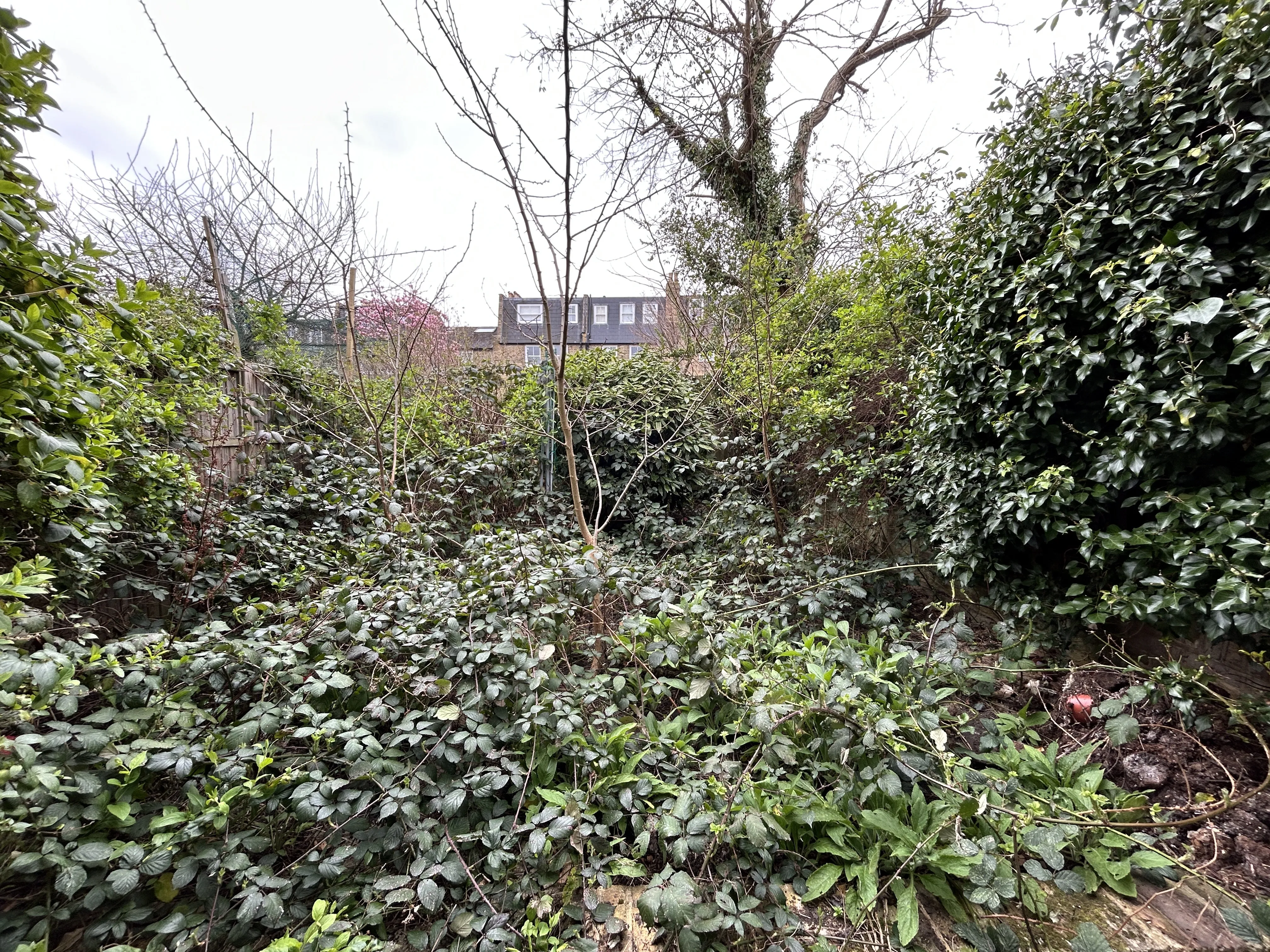 VACANT - Leasehold Self Contained Ground Floor Flat