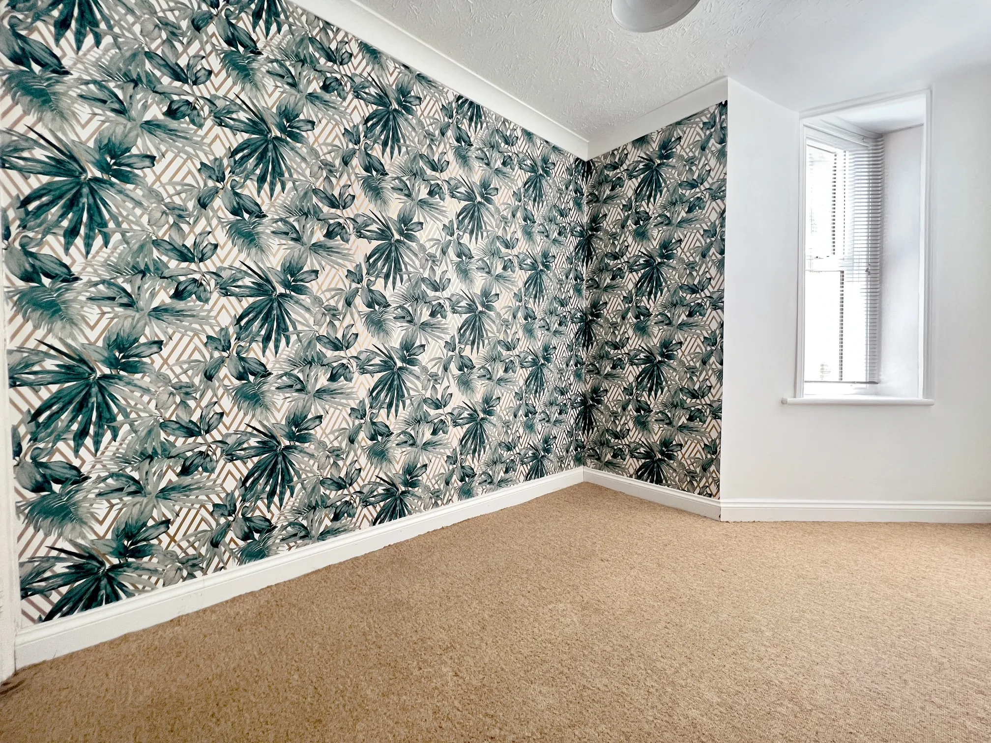 VACANT - Leasehold Self Contained Lower Ground Floor Flat
