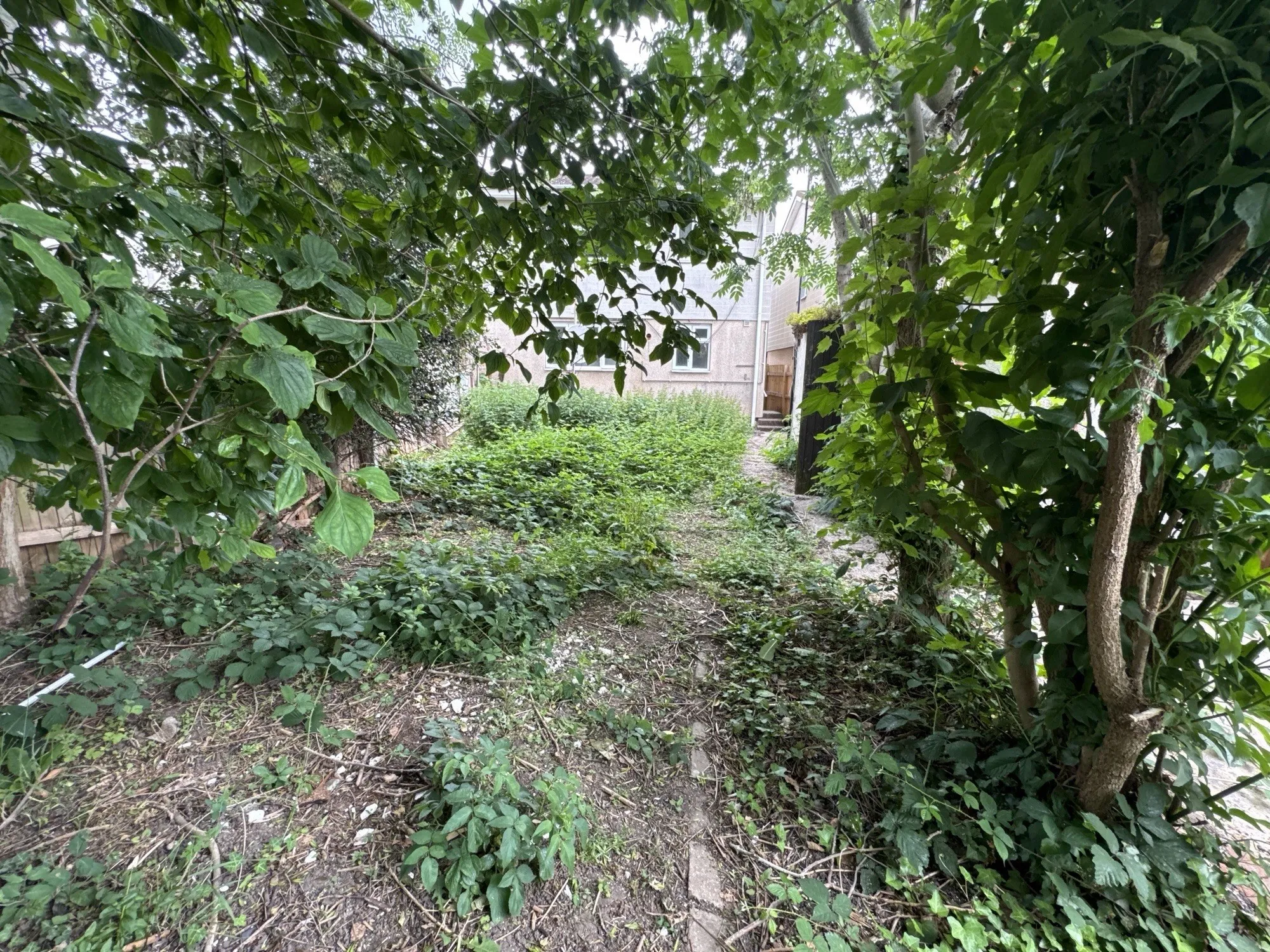 VACANT - Freehold Semi Detached House