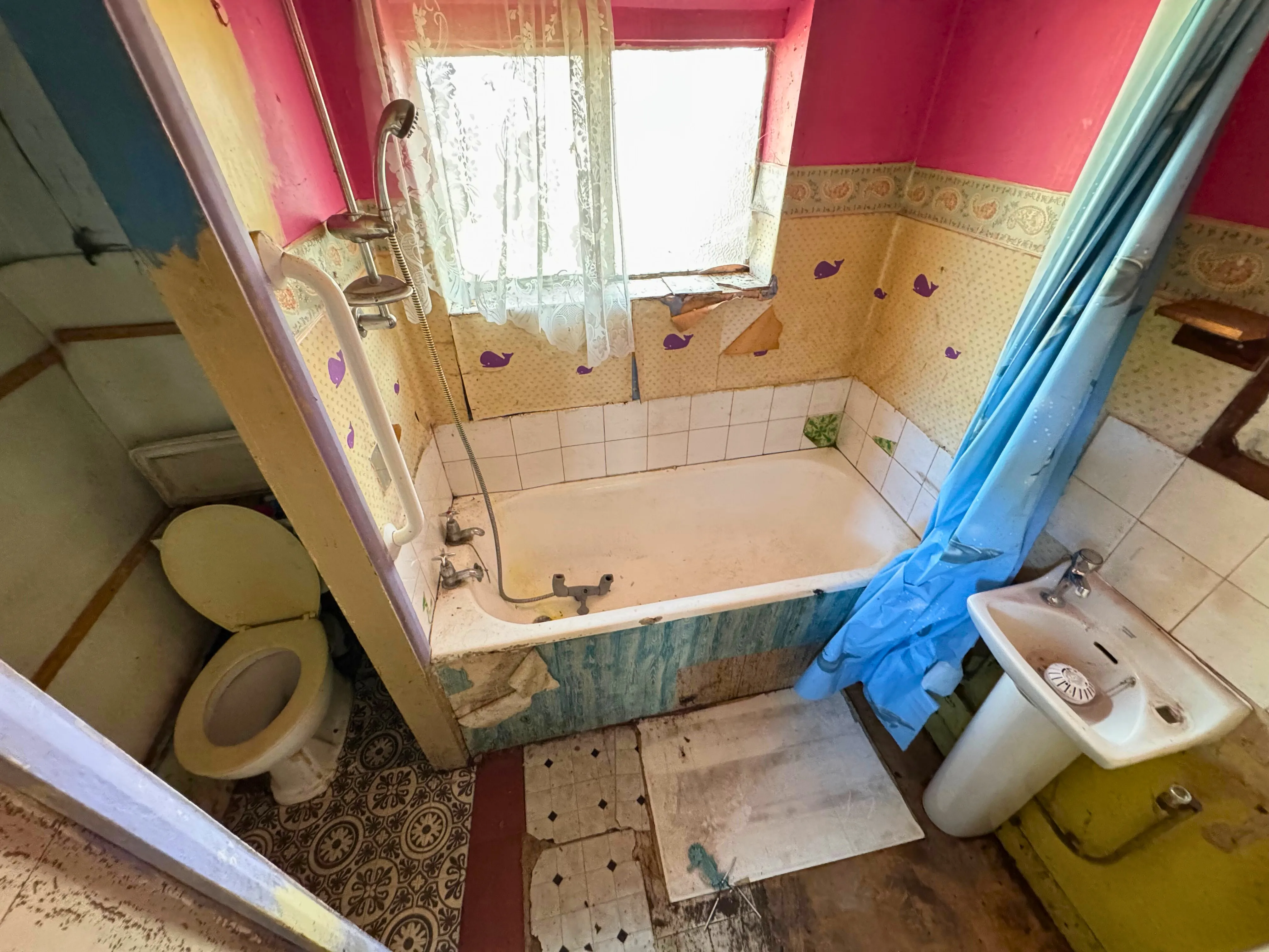 VACANT - Freehold Attractive End of Terrace House