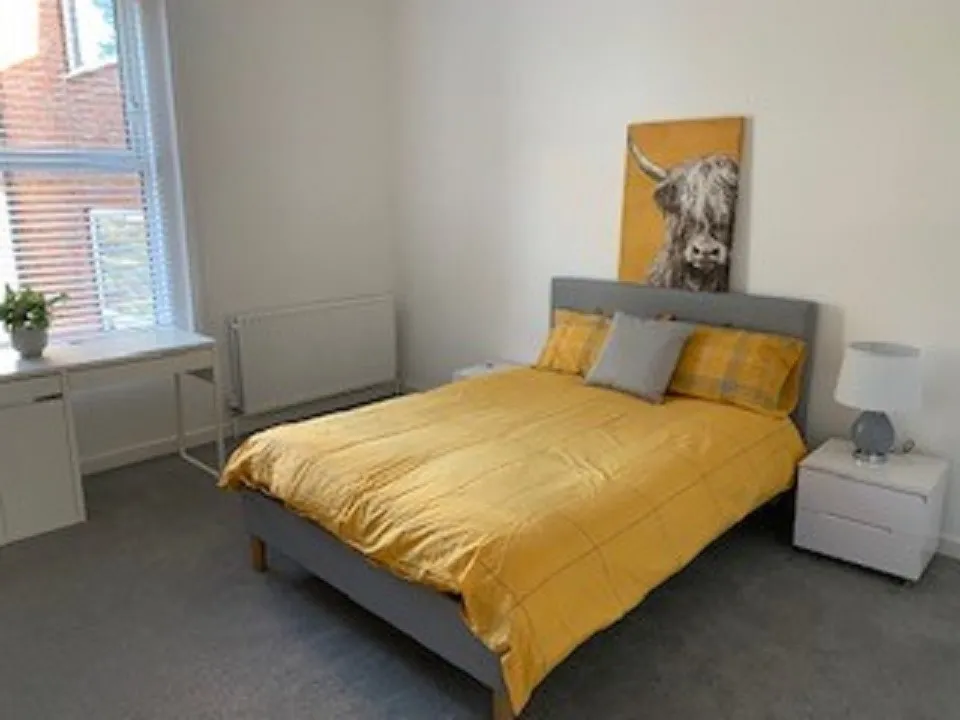 INVESTMENT - Freehold Semi-Detached Building