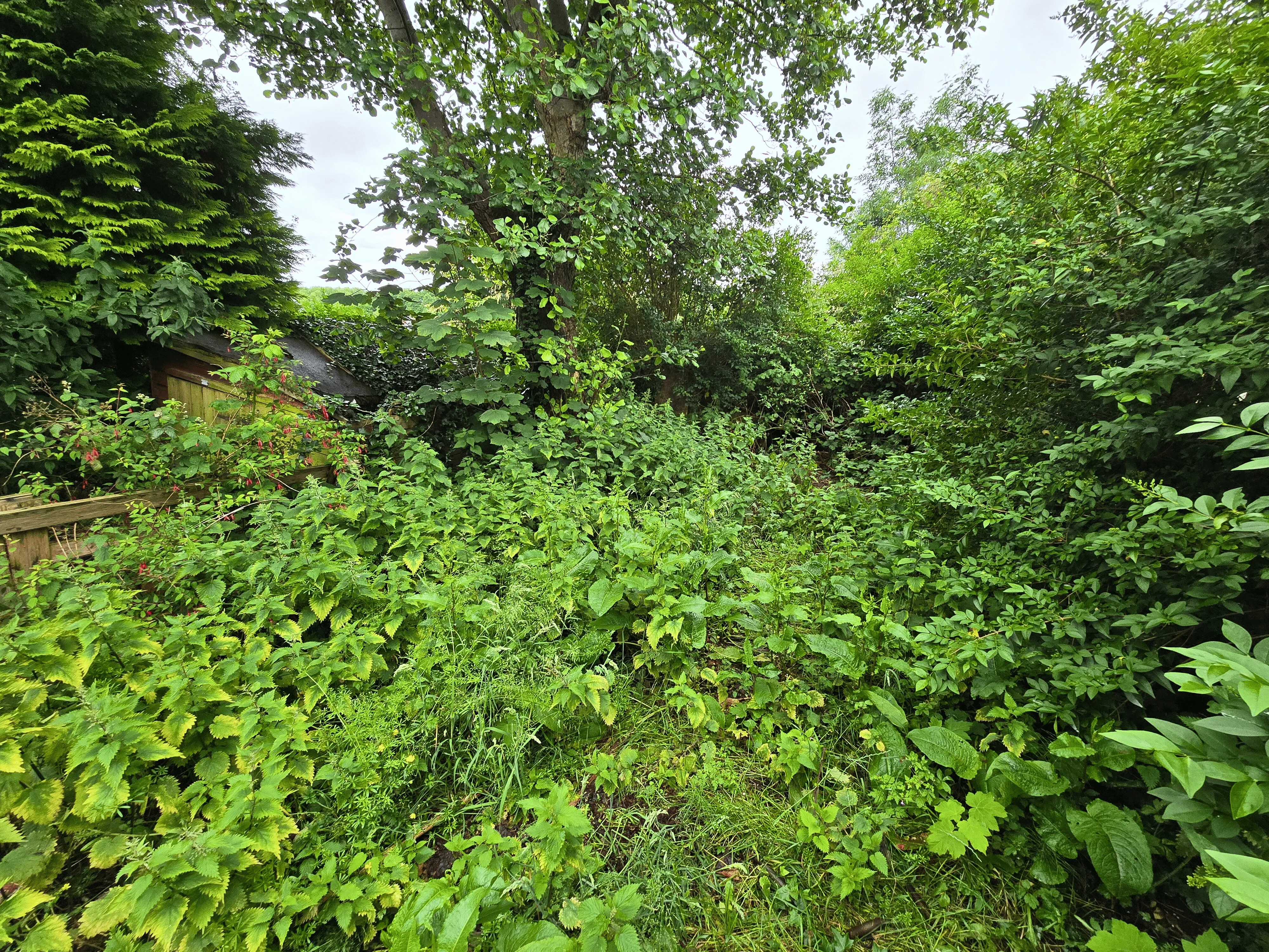 VACANT - Freehold Mid Terrace House
