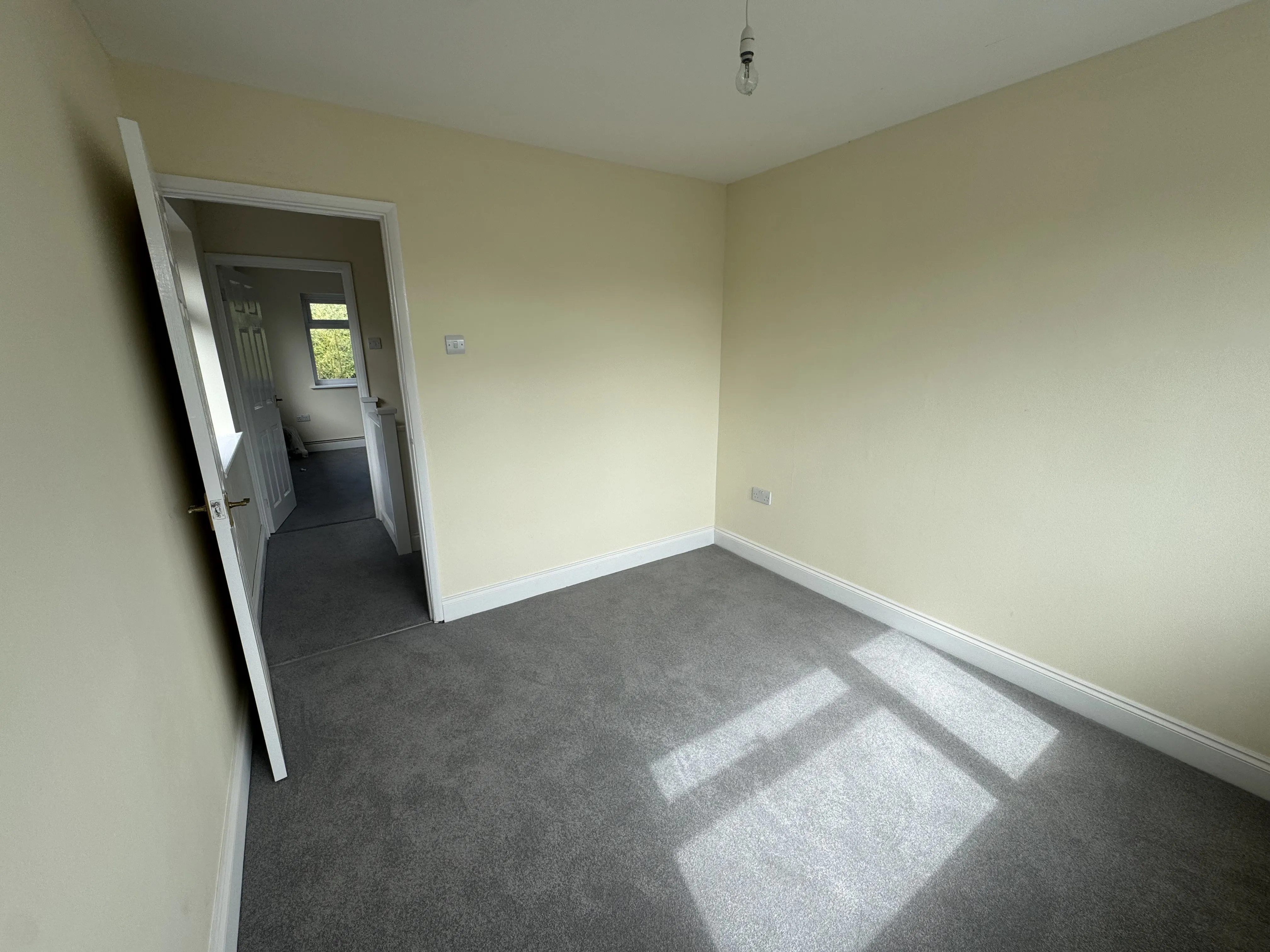 Freehold Detached Building 