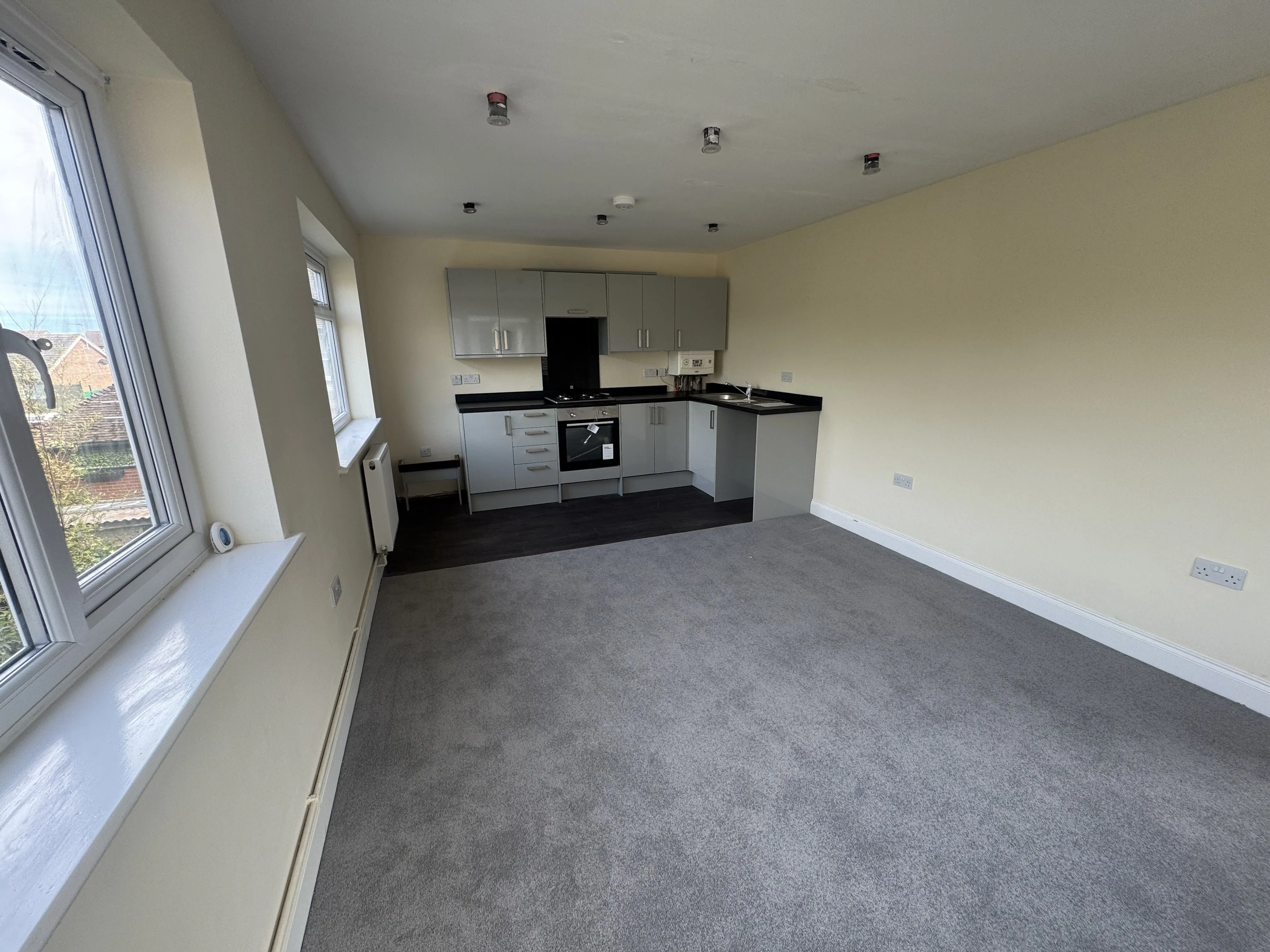 Freehold Detached Building 