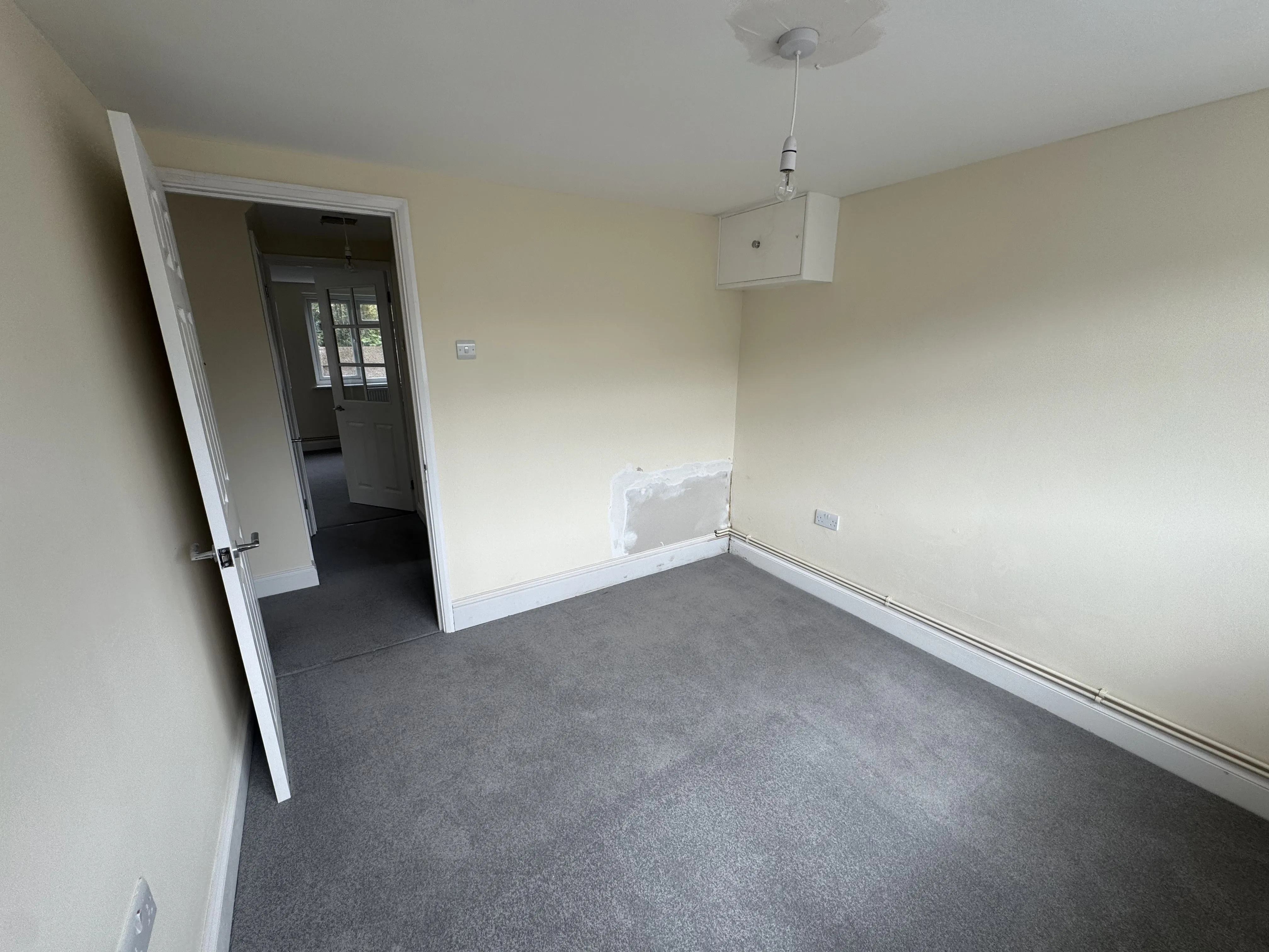 Freehold Detached Building 