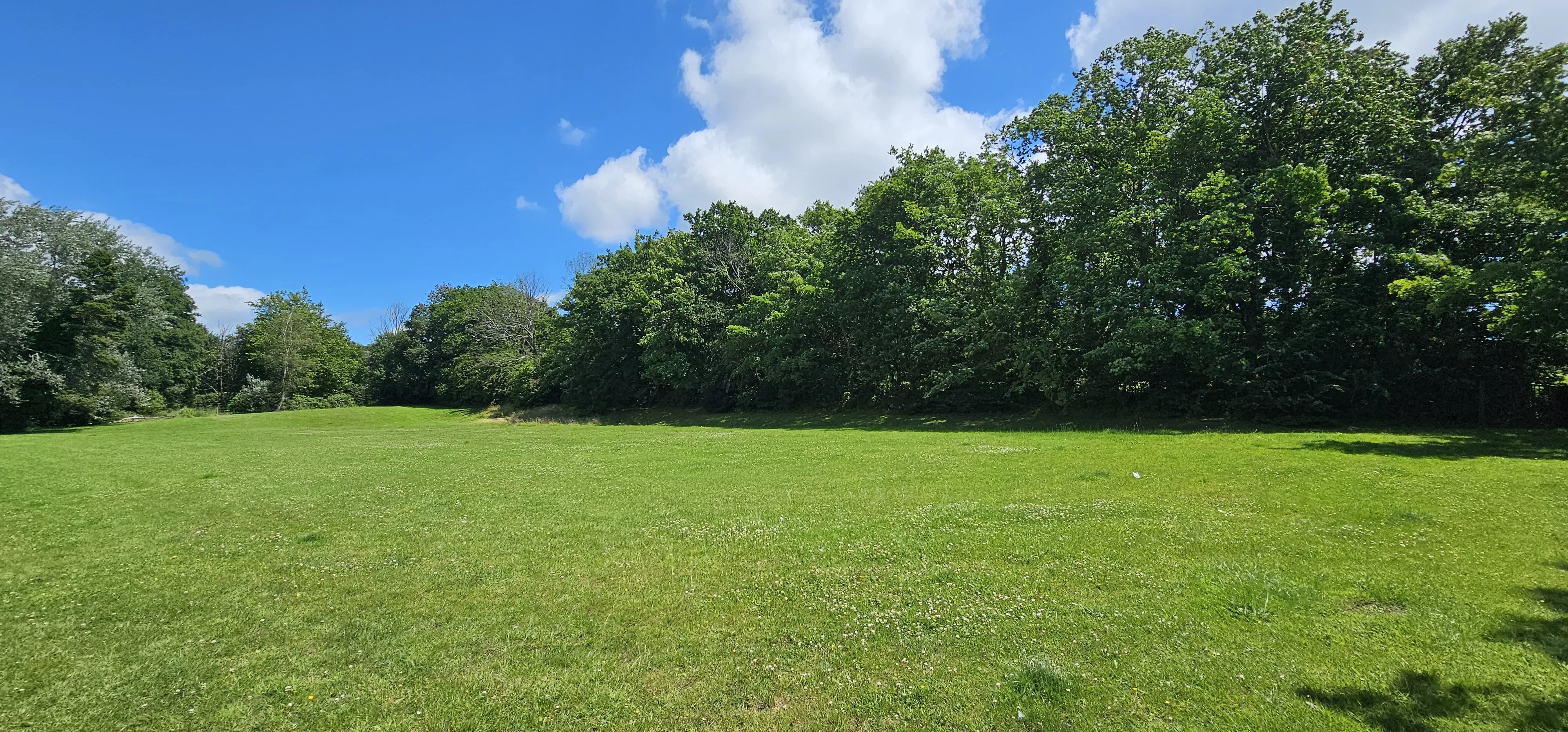 VACANT - Freehold Land