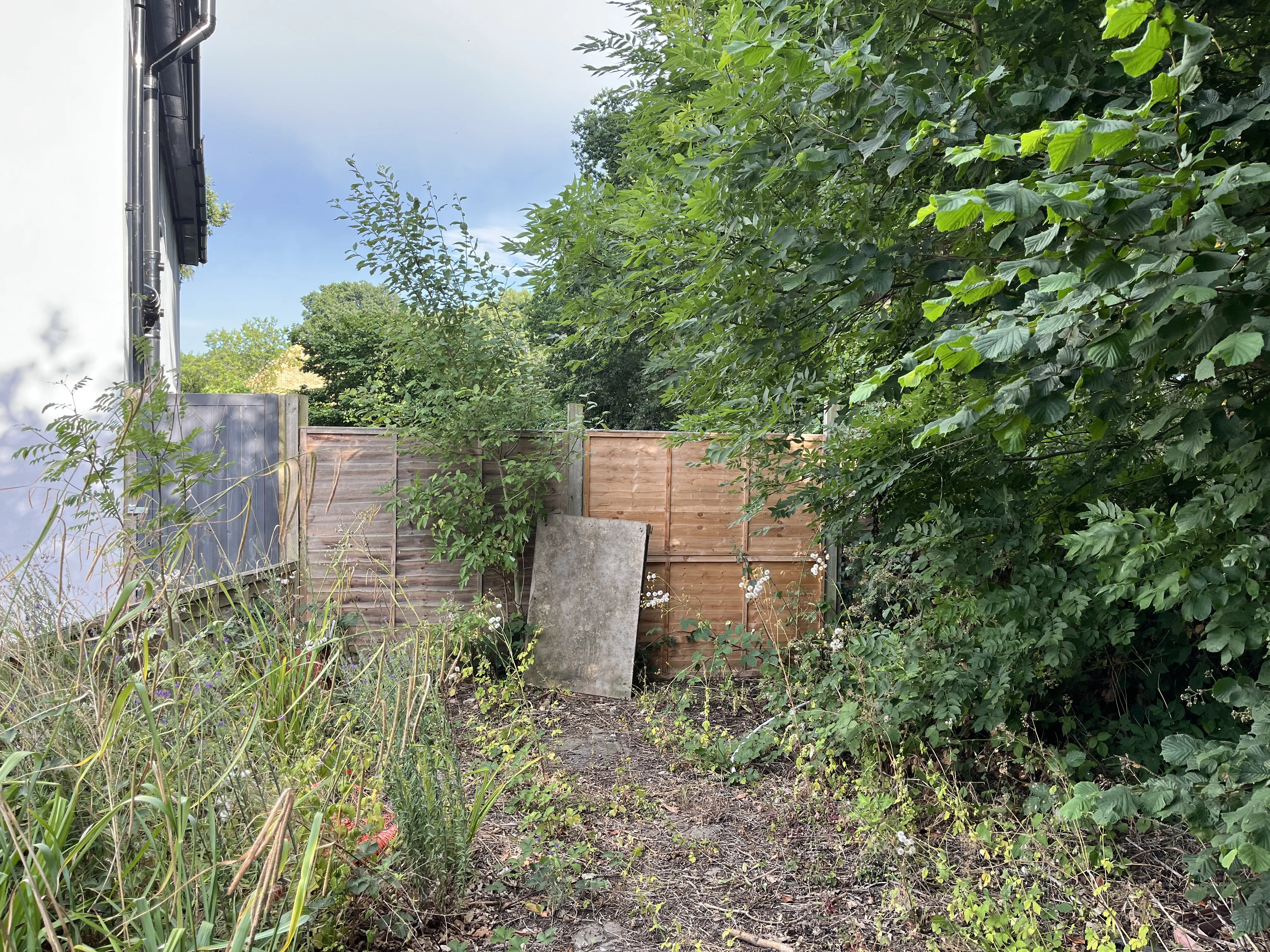 VACANT - Freehold Site