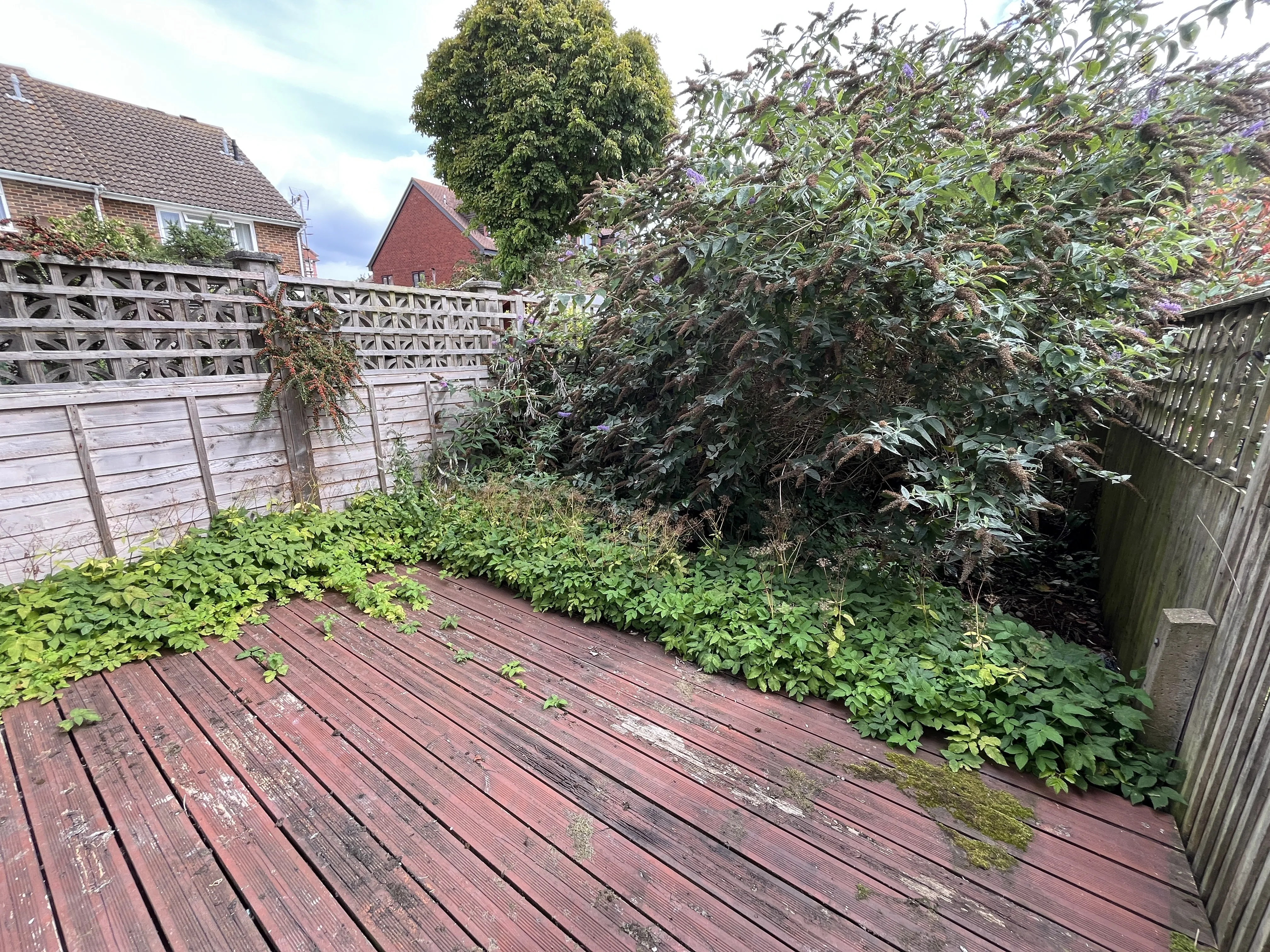 VACANT - Freehold Mid Terrace House