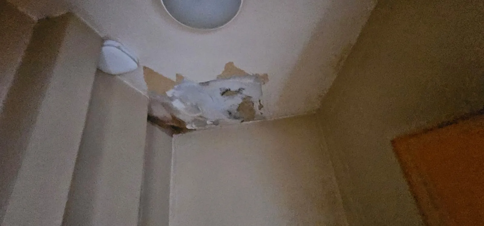 VACANT - Freehold Mid Terrace House