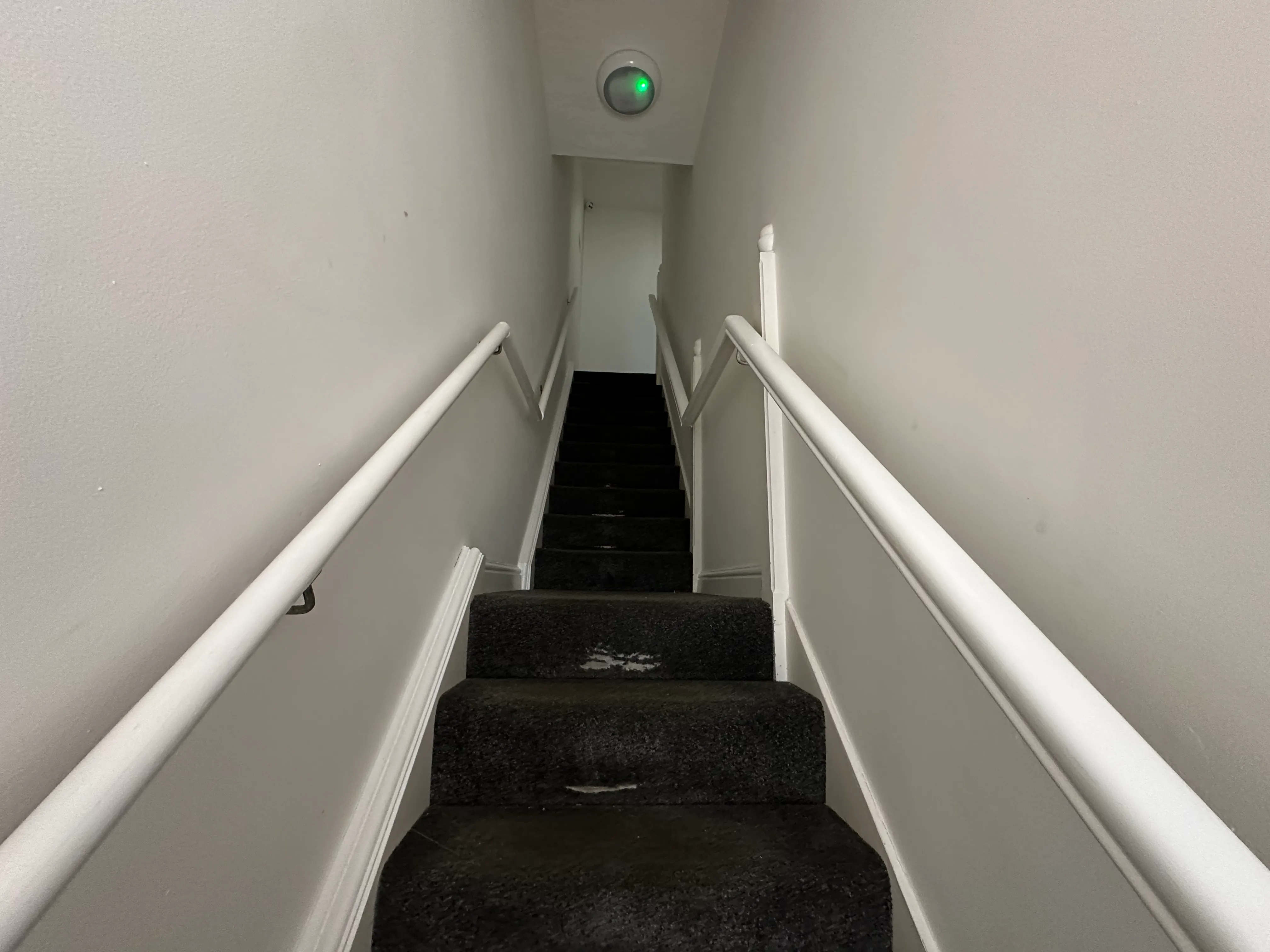 VACANT - Freehold Mid Terrace House with Rear Yard