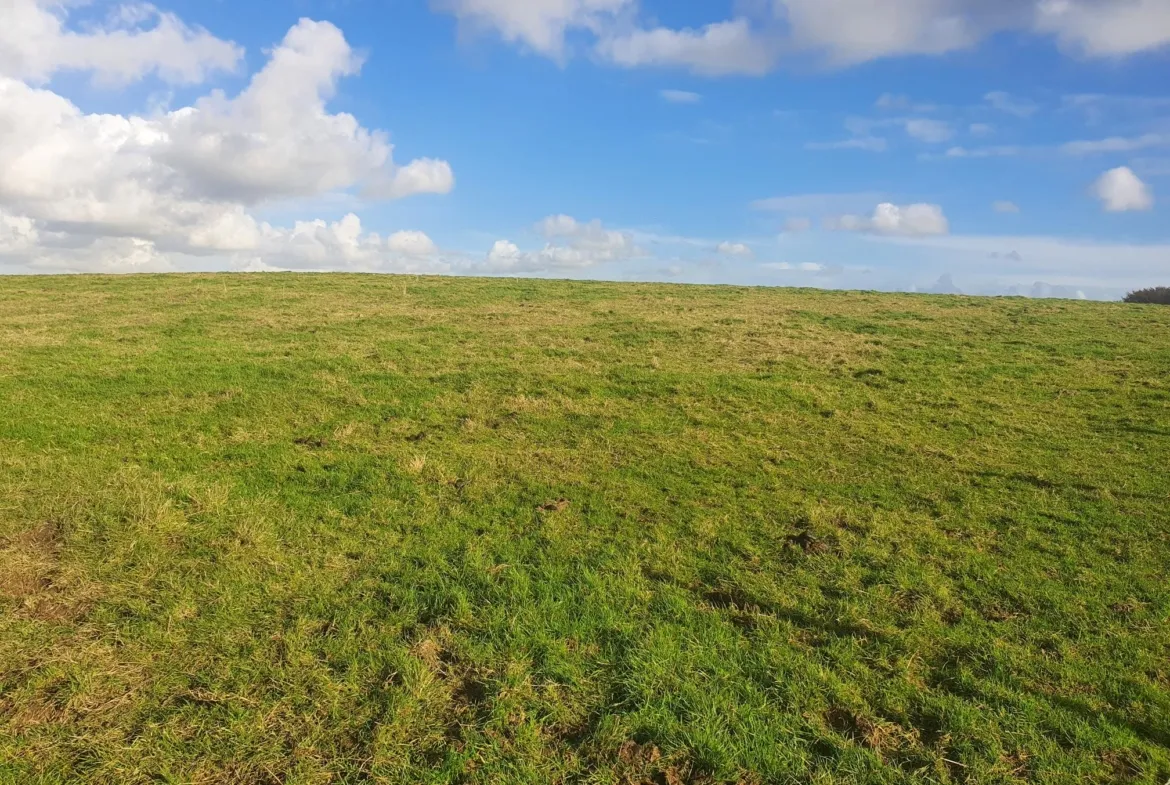 Beechcroft, Whalley Old Road, Langho, BB6 8DU – Auction Agent Land and Property Auction House UK