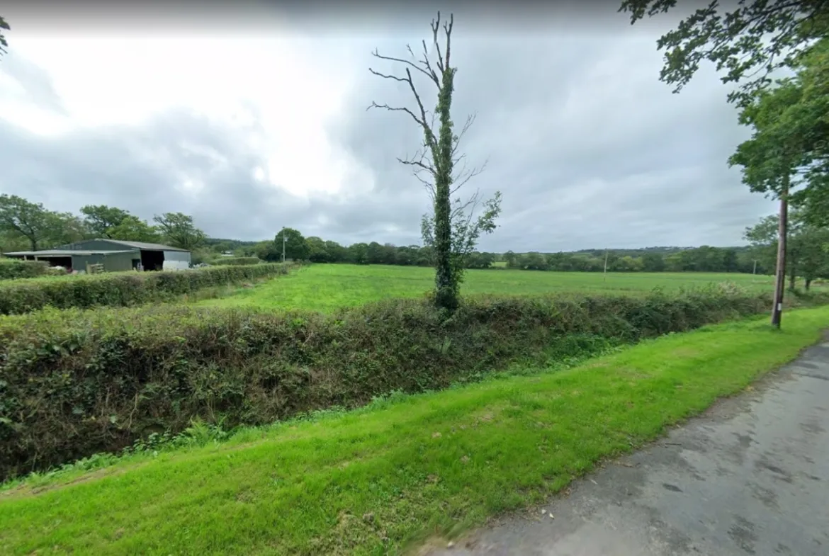 Land at Cookbury, EX22 7YJ | Auction Agent Land and Property Auction House UK