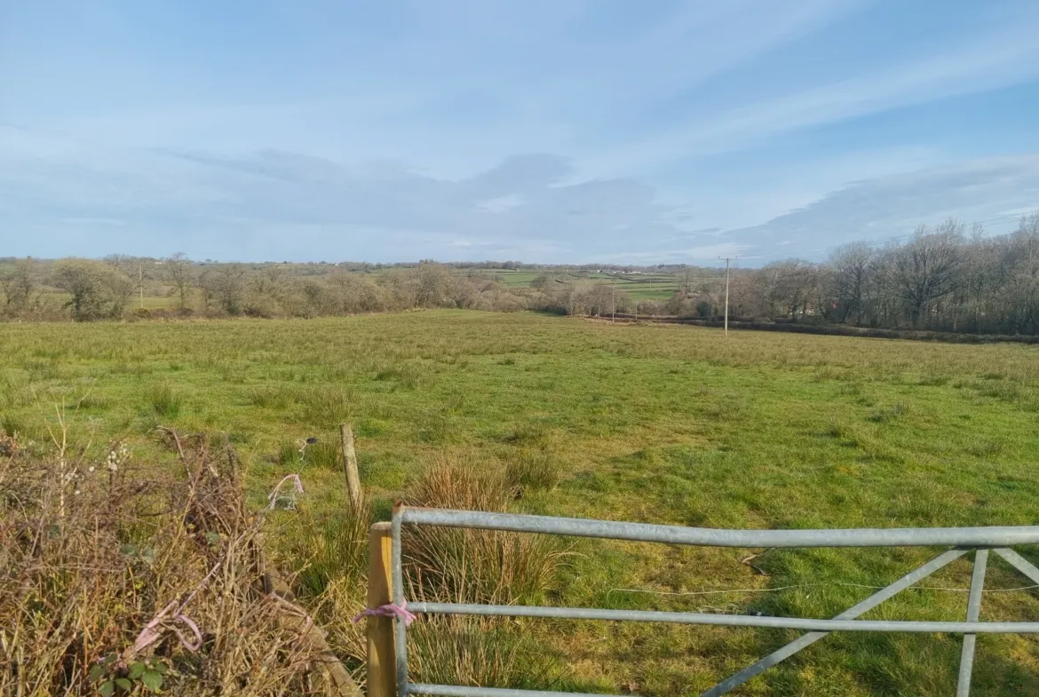 Land at Cookbury, EX22 7YJ | Auction Agent Land and Property Auction House UK