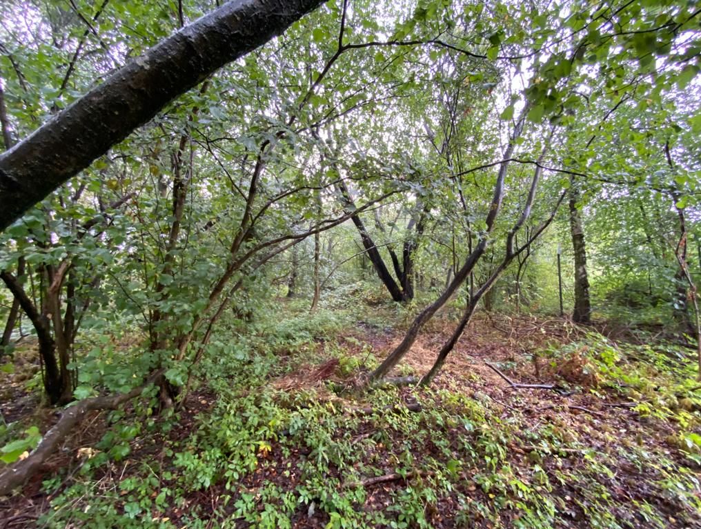 Land Adjacent to Tranker Lane, Worksop, Nottinghamshire, S80 3LG