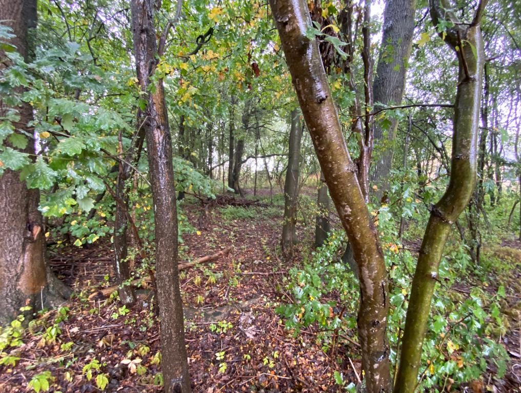 Land Adjacent to Tranker Lane, Worksop, Nottinghamshire, S80 3LG