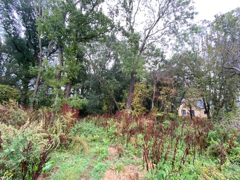 Land Adjacent to Tranker Lane, Worksop, Nottinghamshire, S80 3LG