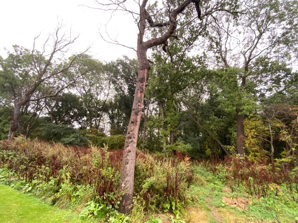 Land Adjacent to Tranker Lane, Worksop, Nottinghamshire, S80 3LG