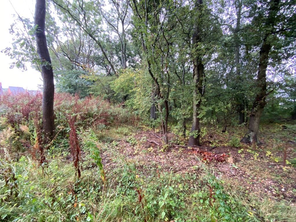 Land Adjacent to Tranker Lane, Worksop, Nottinghamshire, S80 3LG