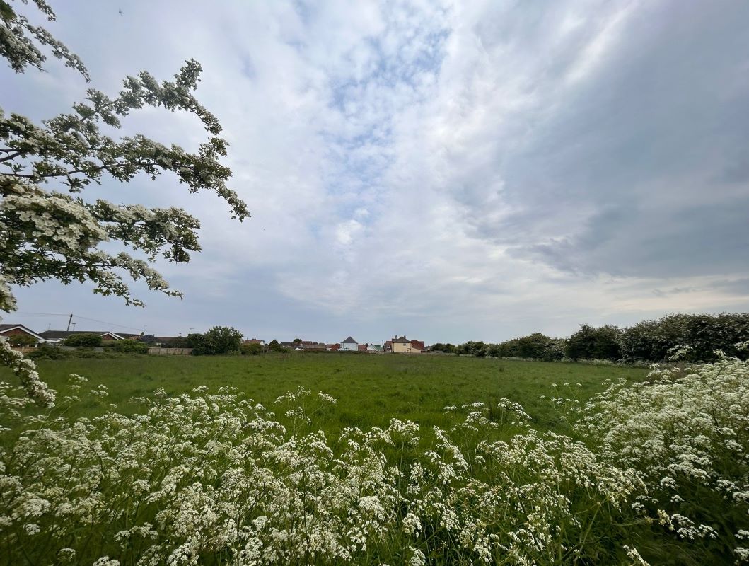 2.15 Acres of land off, Regina Walk, Chapel St. Leonards, Lincolnshire, PE24 5YP
