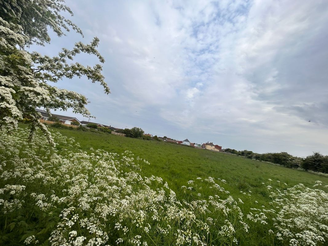 2.15 Acres of land off, Regina Walk, Chapel St. Leonards, Lincolnshire, PE24 5YP