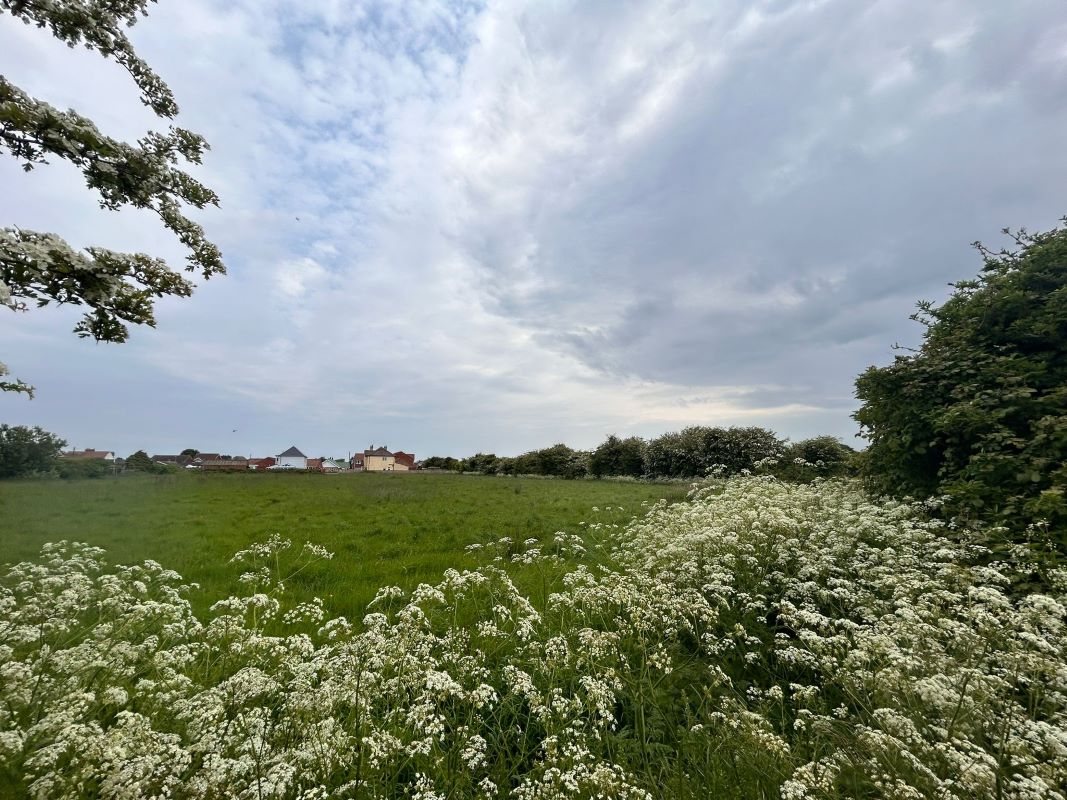 2.15 Acres of land off, Regina Walk, Chapel St. Leonards, Lincolnshire, PE24 5YP