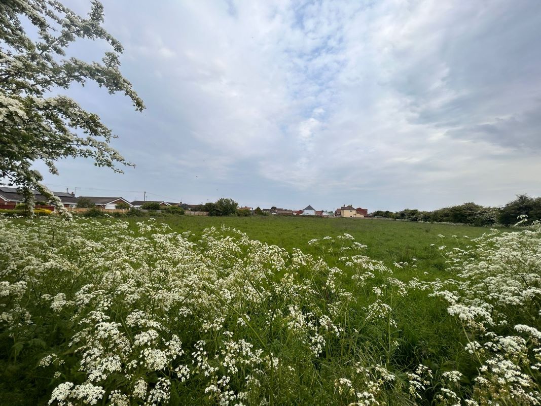 2.15 Acres of land off, Regina Walk, Chapel St. Leonards, Lincolnshire, PE24 5YP