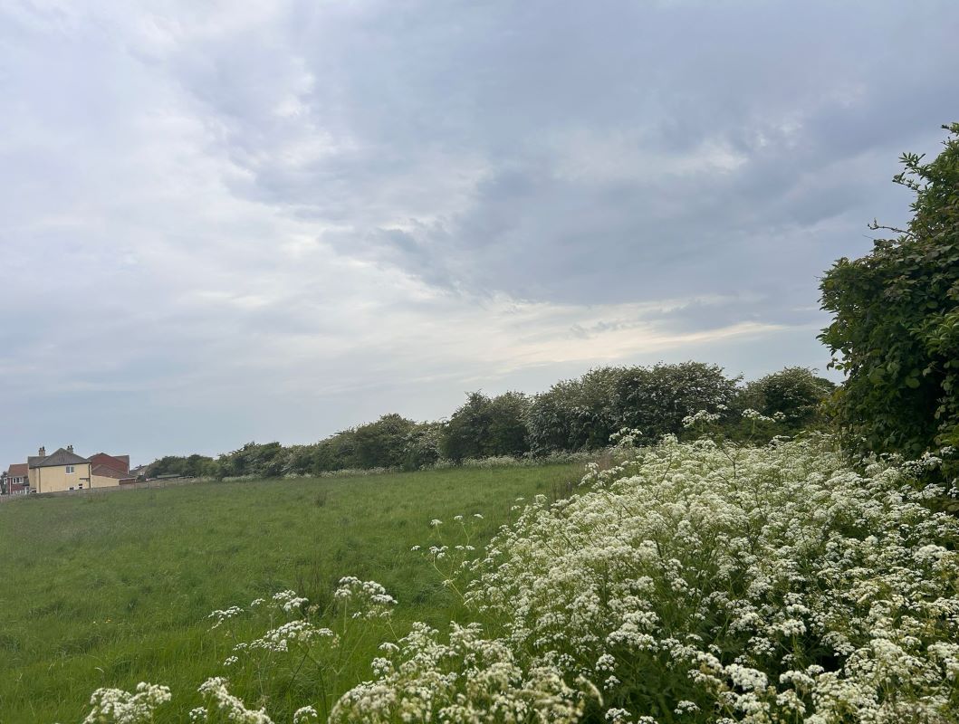 2.15 Acres of land off, Regina Walk, Chapel St. Leonards, Lincolnshire, PE24 5YP