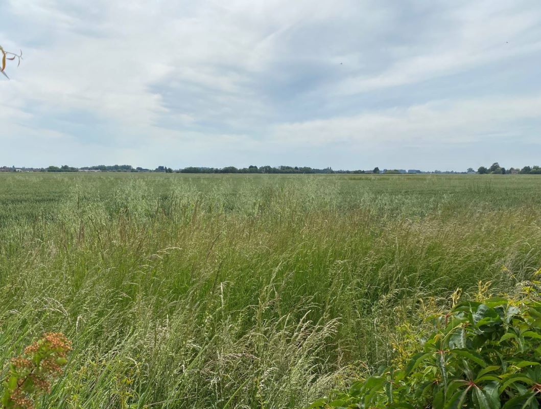 91 Gorefield Road, Leverington, Wisbech, Cambridgeshire, PE13 5AT