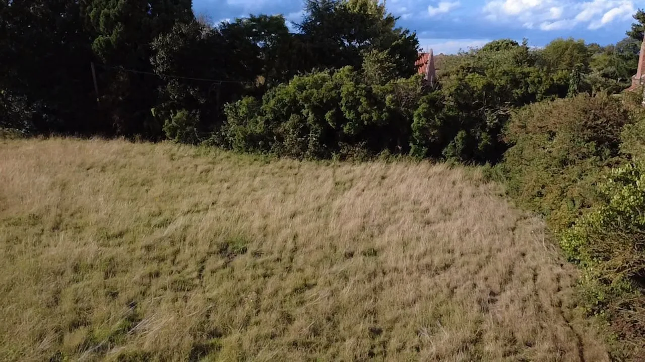 0.55 acre paddock, low road, Besthorpe, Newark, Nottinghamshire, NG23 7HJ