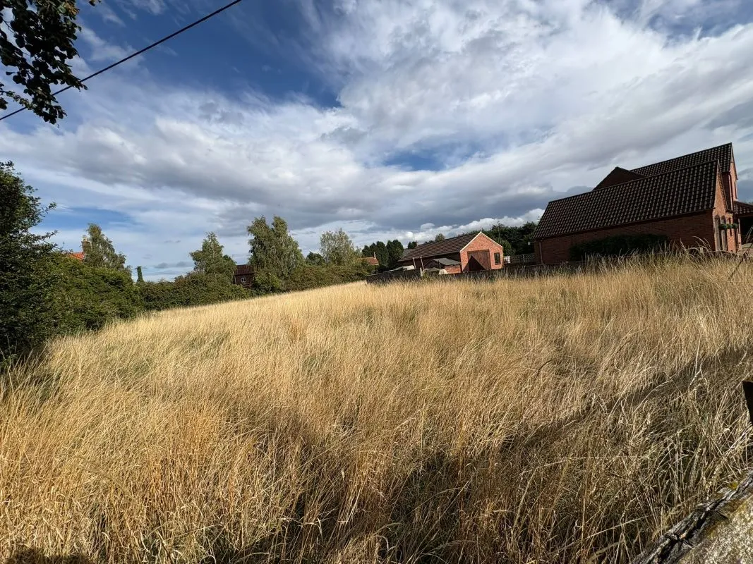 0.55 acre paddock, low road, Besthorpe, Newark, Nottinghamshire, NG23 7HJ