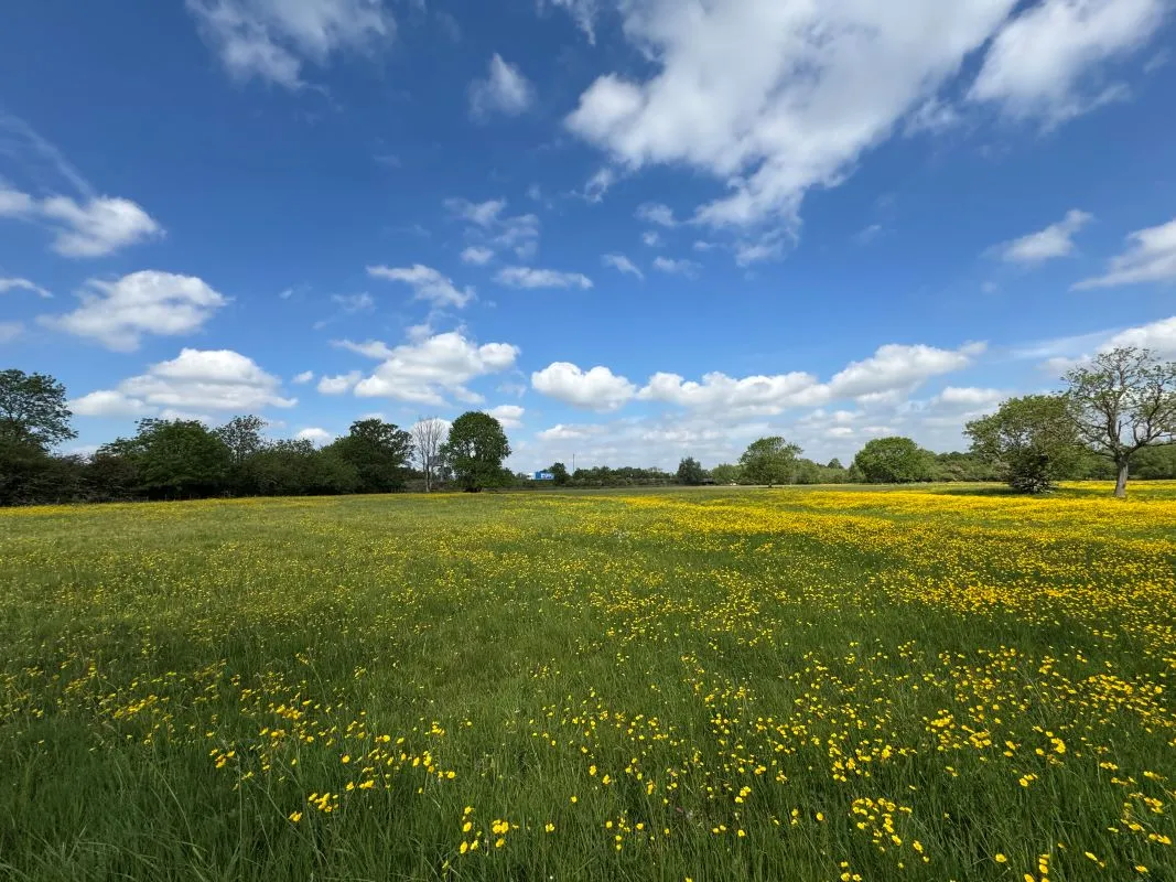8.47 Acres of land off Wilne Road, Sawley, Nottingham, NG10 3XL