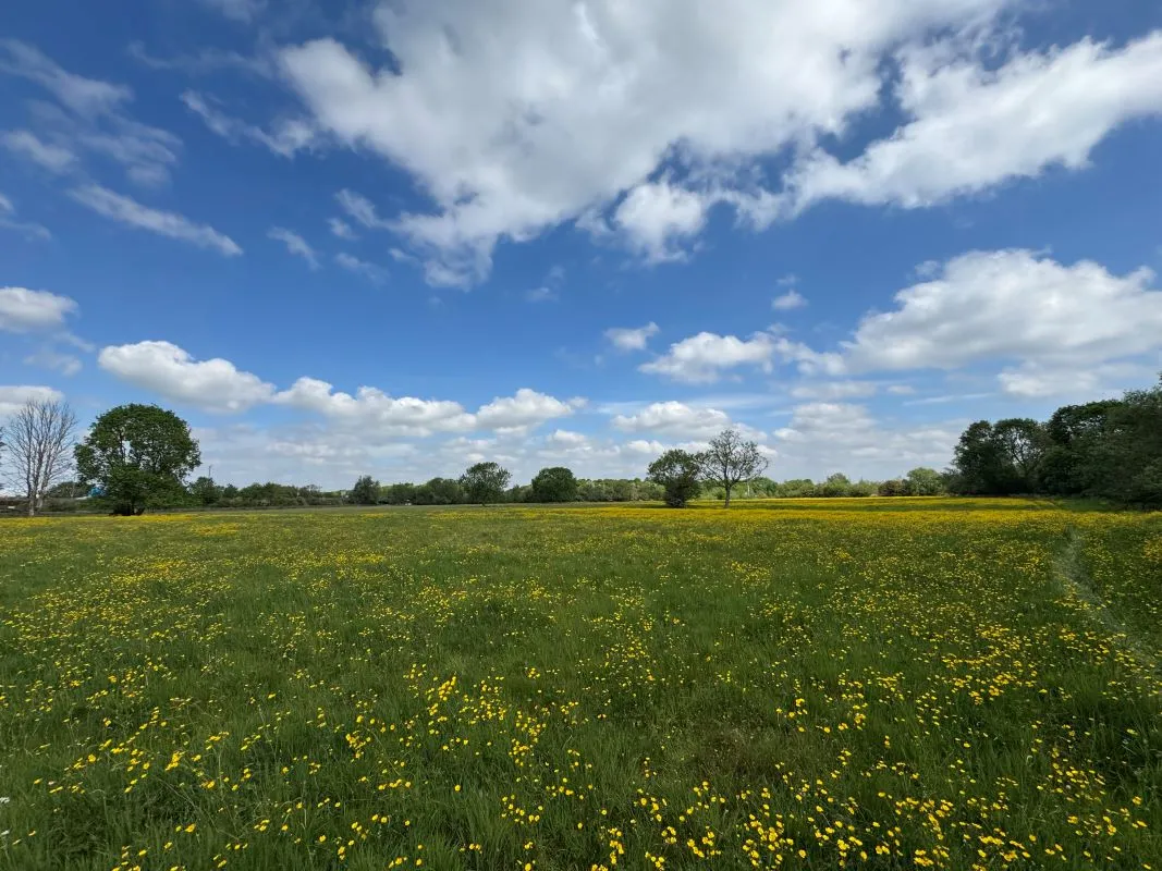 8.47 Acres of land off Wilne Road, Sawley, Nottingham, NG10 3XL