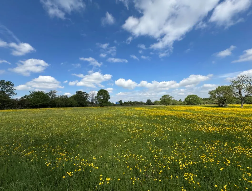 8.47 Acres of land off Wilne Road, Sawley, Nottingham, NG10 3XL