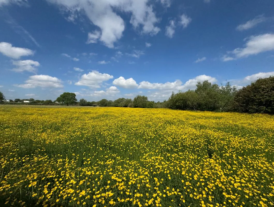 12.39 Acres of land off Wilne Road, Sawley, Nottingham, NG10 3XL