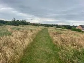 Land off Lyvedon Way, Corby, Northamptonshire, NN18 8LX