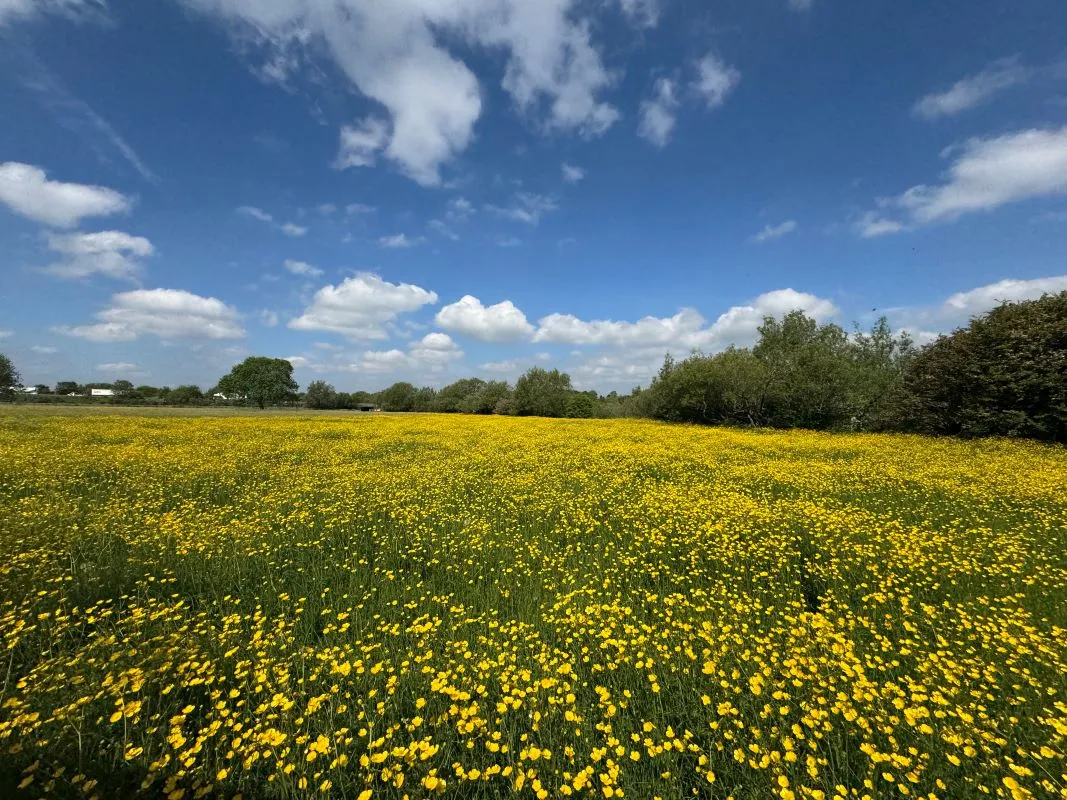 12.39 Acres of land off Wilne Road, Sawley, Nottingham, NG10 3XL