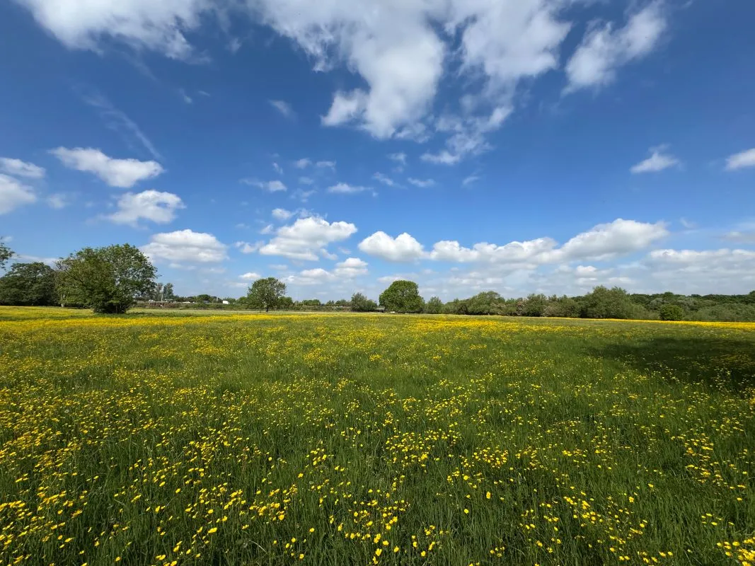 12.39 Acres of land off Wilne Road, Sawley, Nottingham, NG10 3XL
