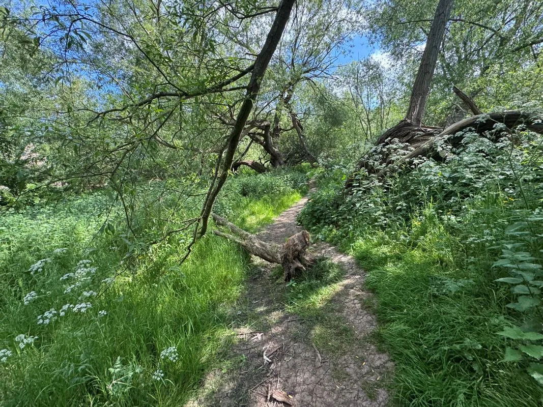 12.39 Acres of land off Wilne Road, Sawley, Nottingham, NG10 3XL