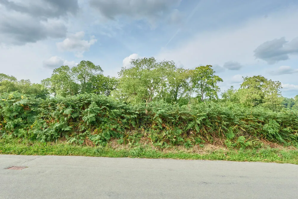 14 Mere Rise, Copmere End, Stafford - Auction Hammer Midlands