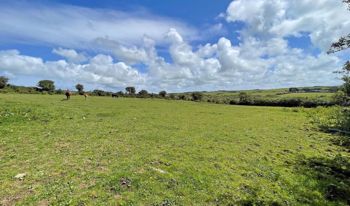 Llantrisant, Holyhead, Gwynedd, LL65 4TN - Online Auctions